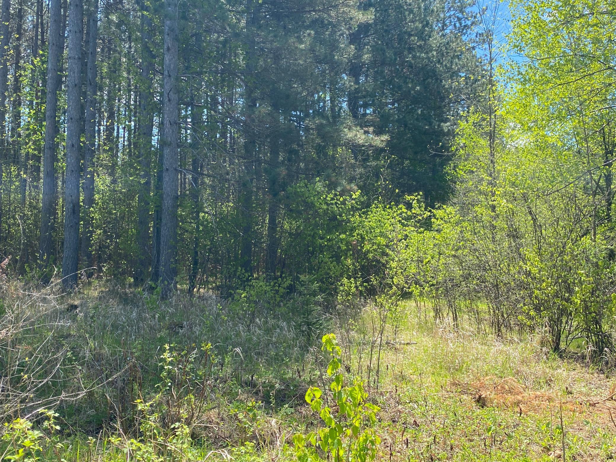 XXXX Minkkinen Rd, Kettle River, Minnesota image 32