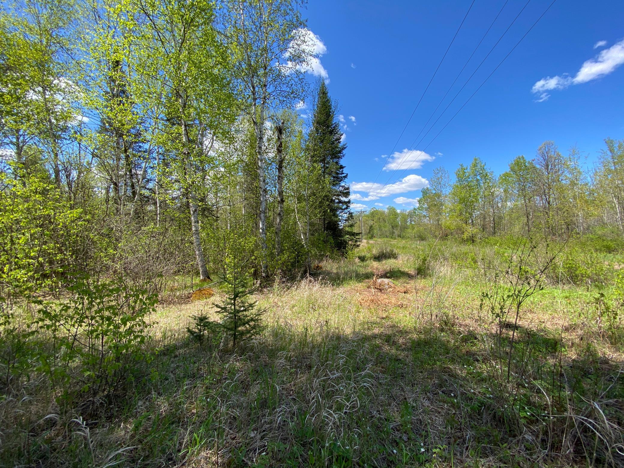 XXXX Minkkinen Rd, Kettle River, Minnesota image 36