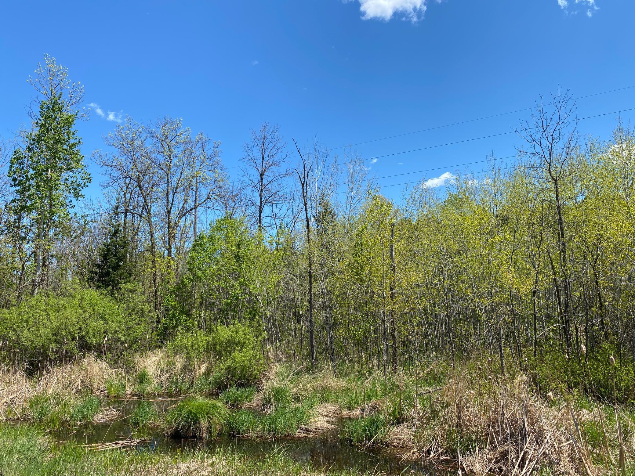 XXXX Minkkinen Rd, Kettle River, Minnesota image 39