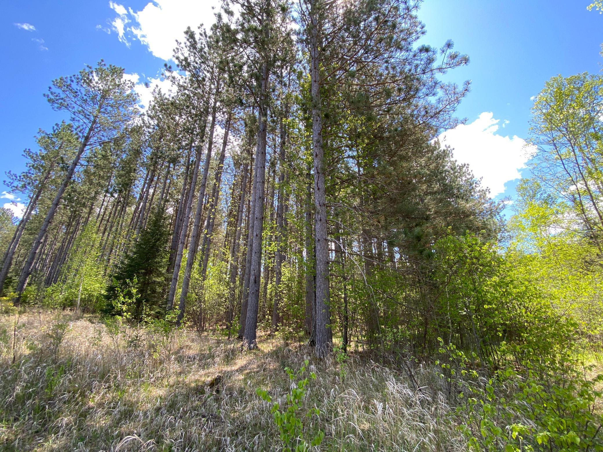 XXXX Minkkinen Rd, Kettle River, Minnesota image 31