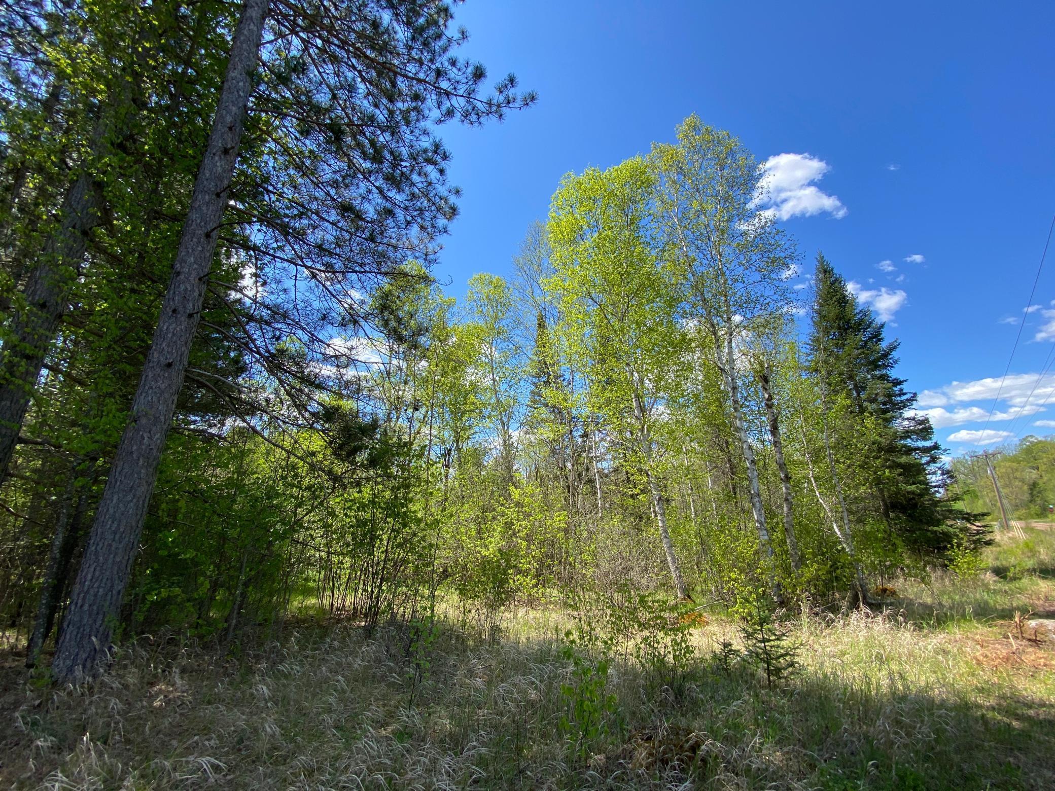 XXXX Minkkinen Rd, Kettle River, Minnesota image 37