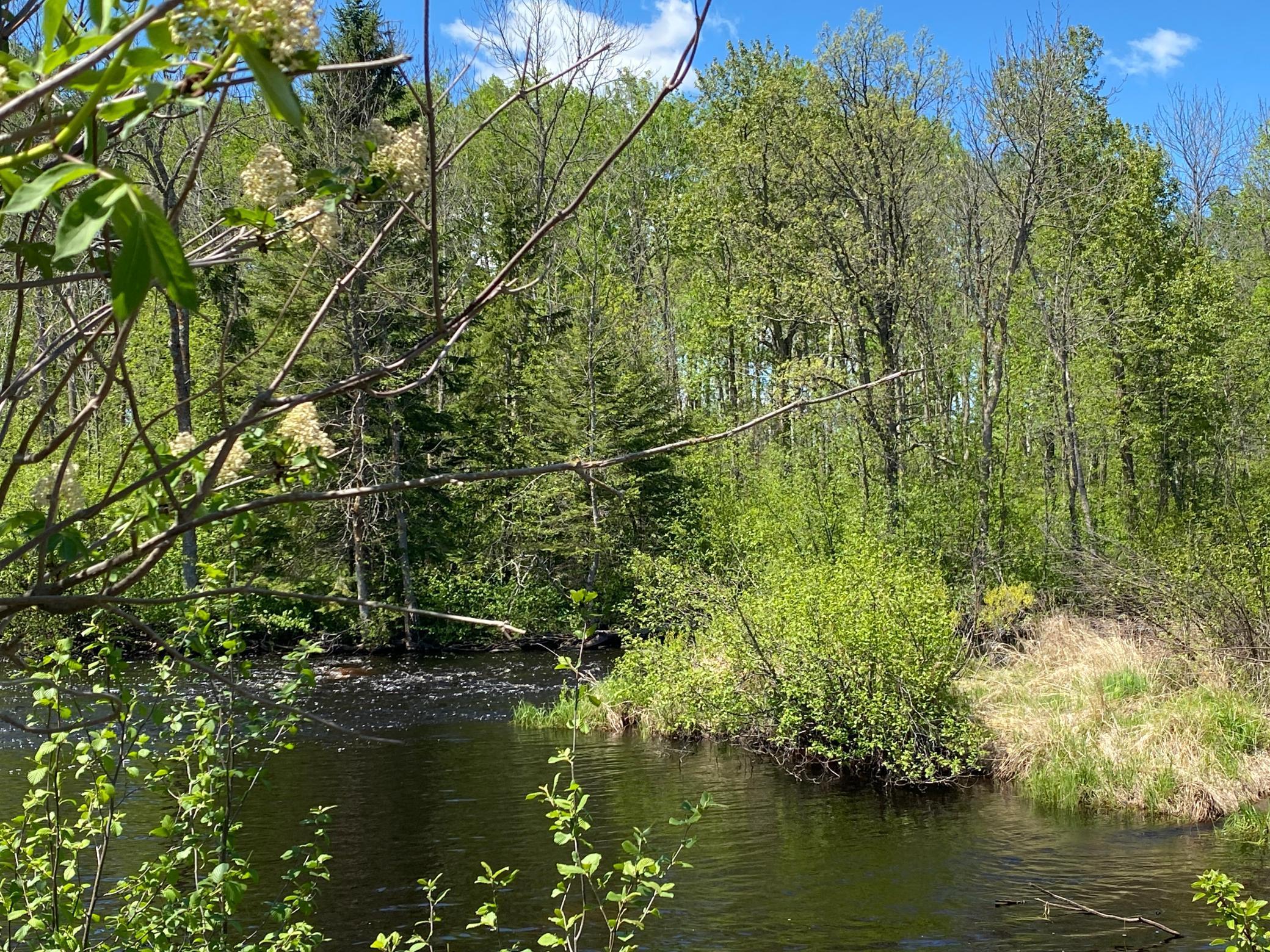 XXXX Minkkinen Rd, Kettle River, Minnesota image 26