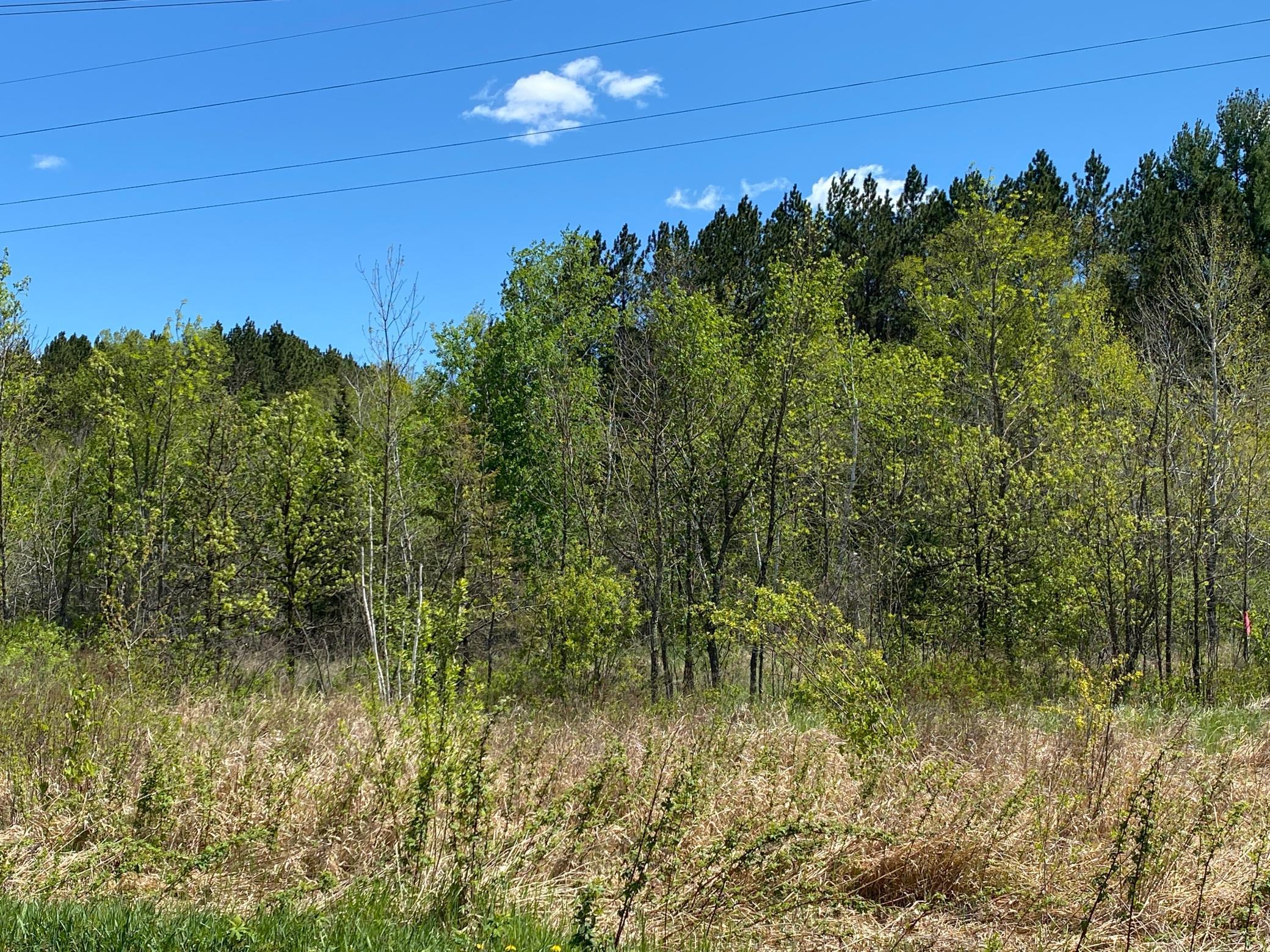XXXX Minkkinen Rd, Kettle River, Minnesota image 34