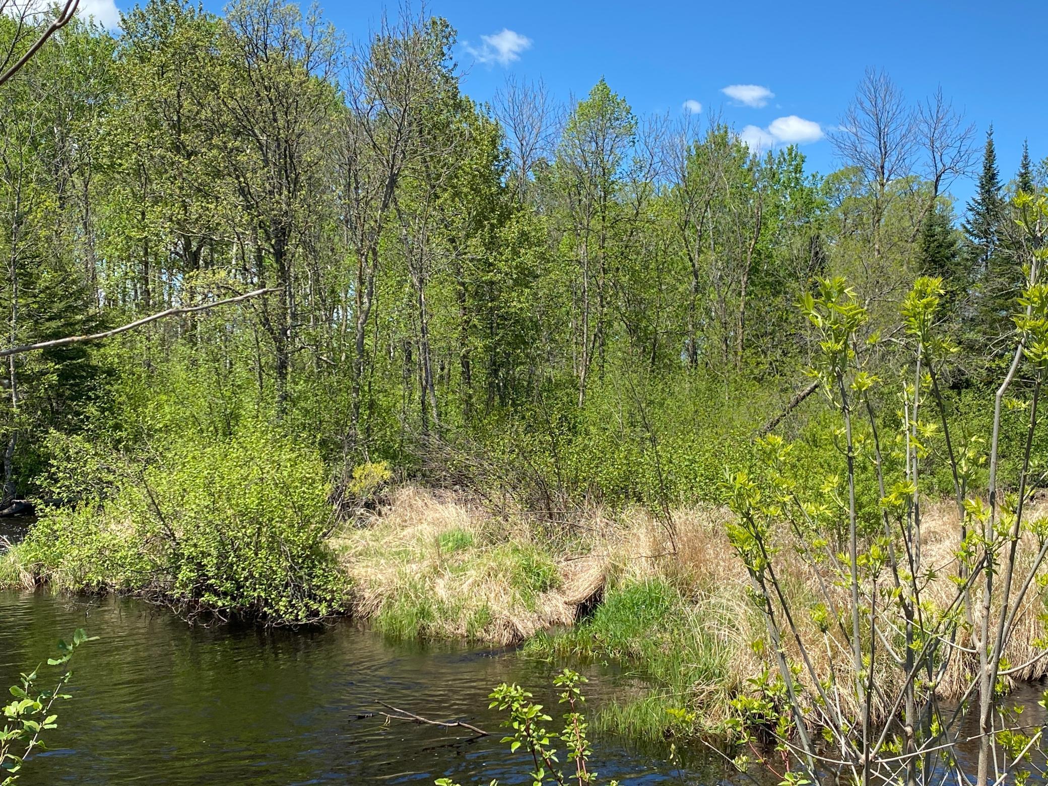 XXXX Minkkinen Rd, Kettle River, Minnesota image 28