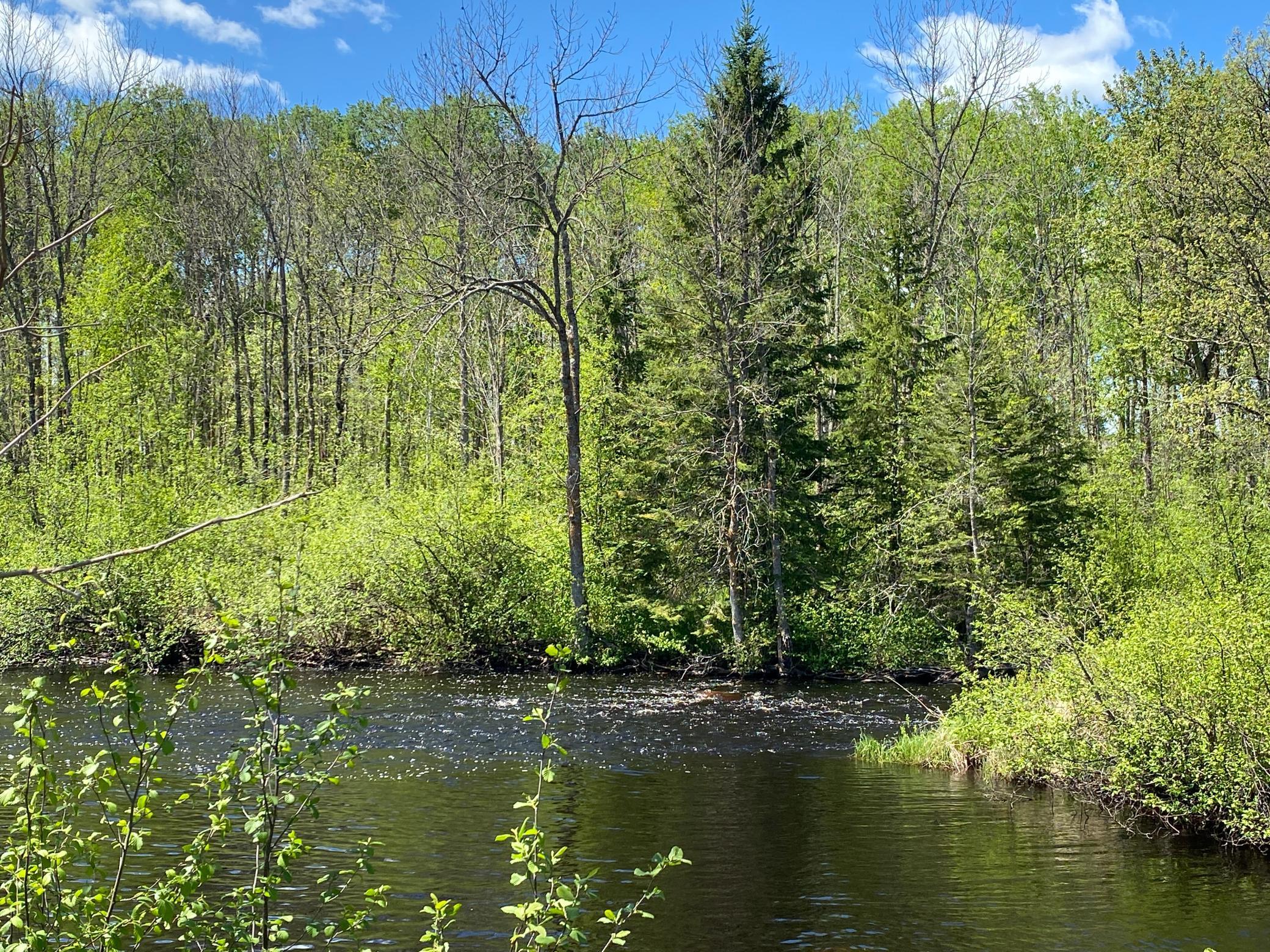 XXXX Minkkinen Rd, Kettle River, Minnesota image 25
