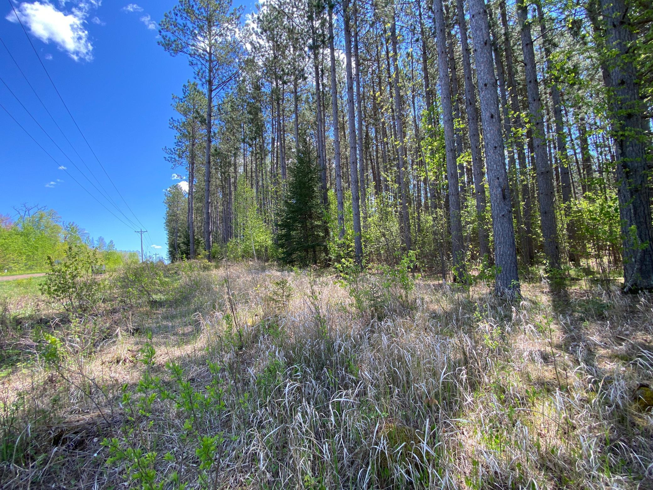XXXX Minkkinen Rd, Kettle River, Minnesota image 7