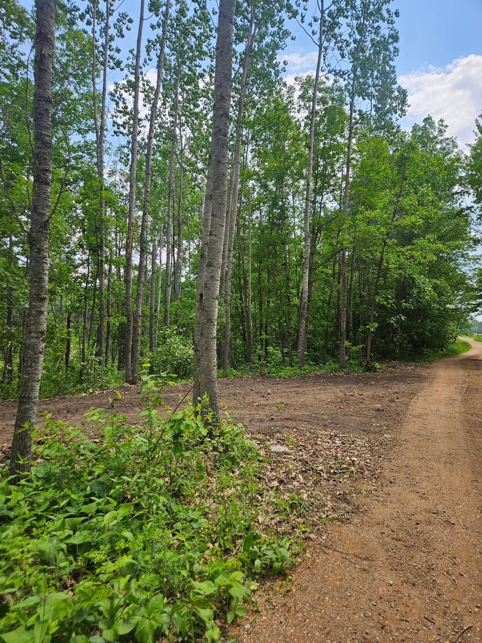 Parcel E Rogue Way, Ironton, Minnesota image 5