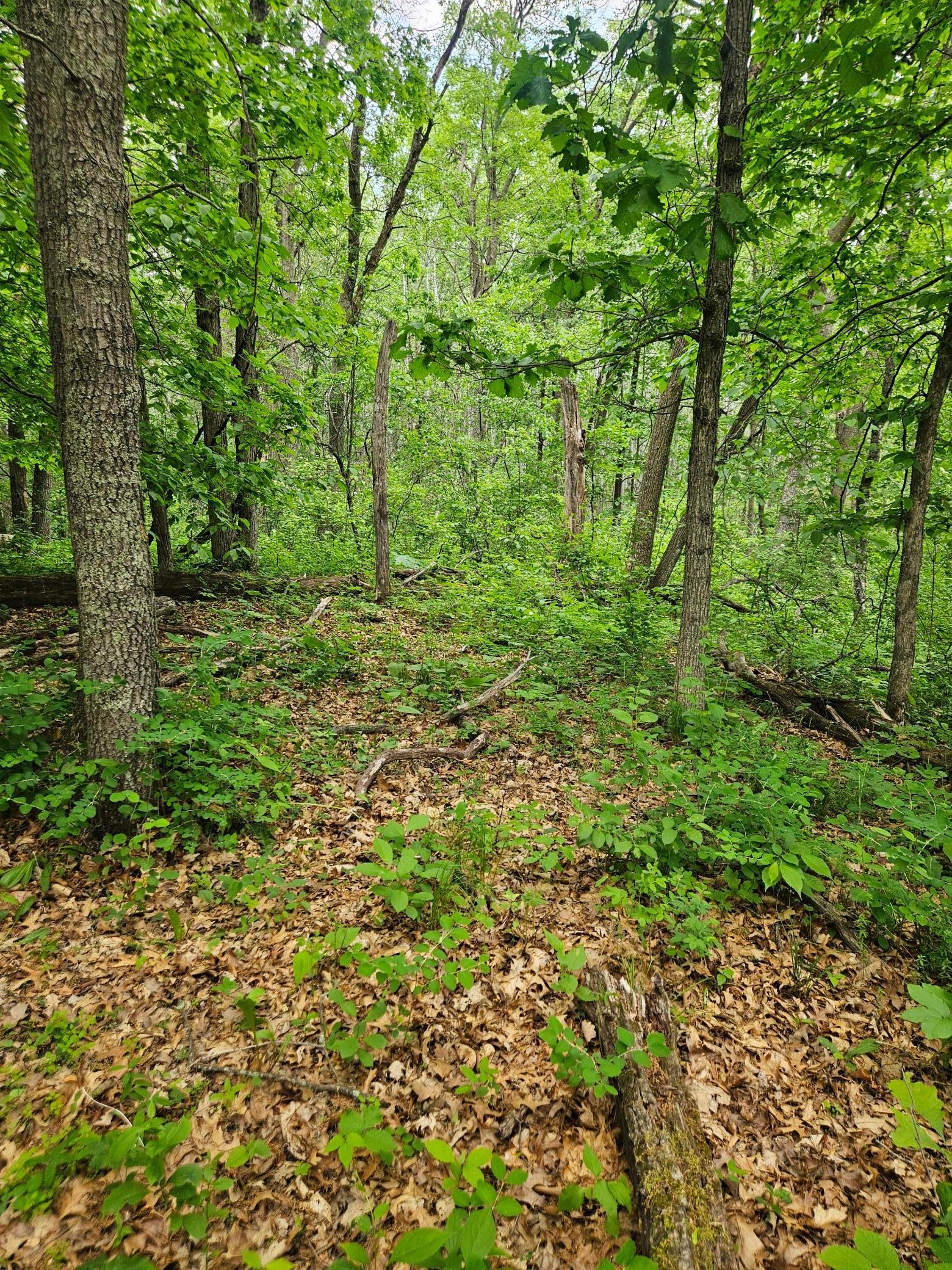 Parcel E Rogue Way, Ironton, Minnesota image 14