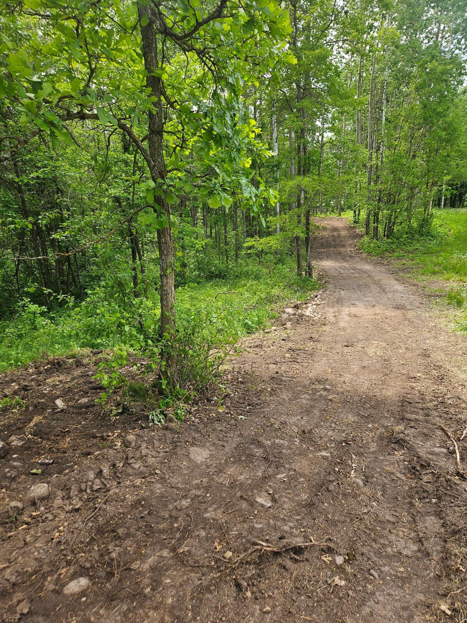 Parcel E Rogue Way, Ironton, Minnesota image 6