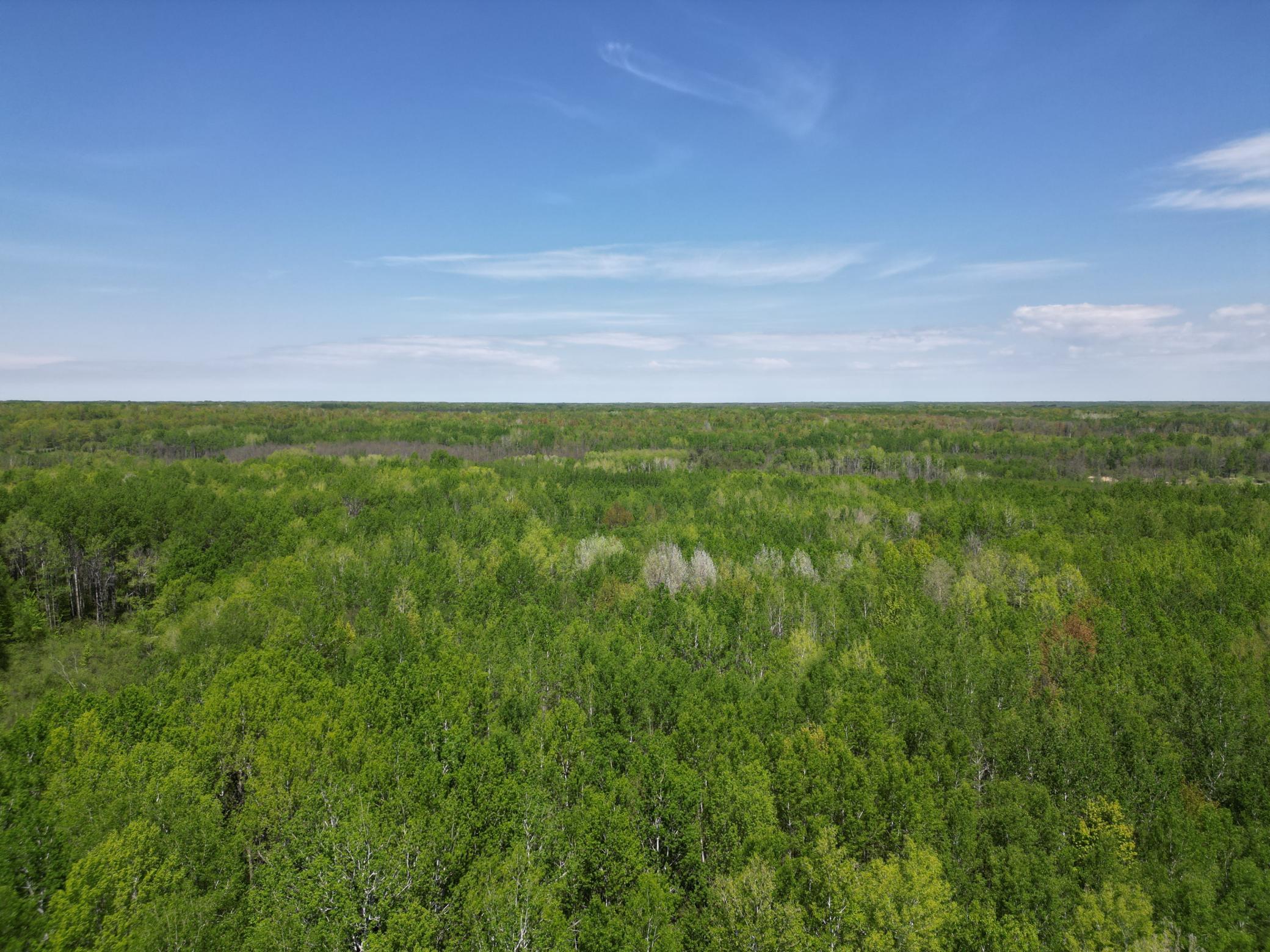 6920 Reed Lane, Kettle River, Minnesota image 4