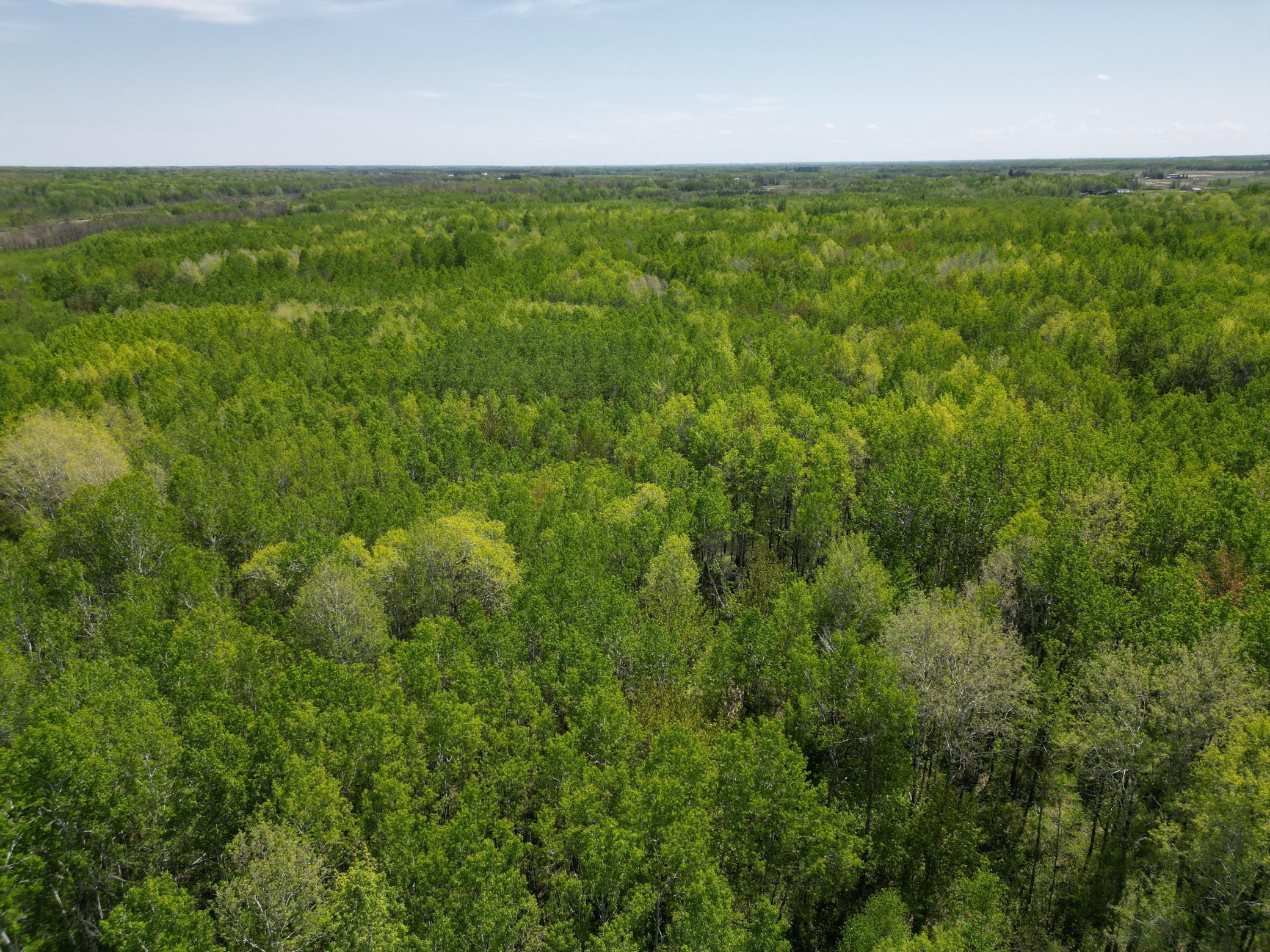 6920 Reed Lane, Kettle River, Minnesota image 15