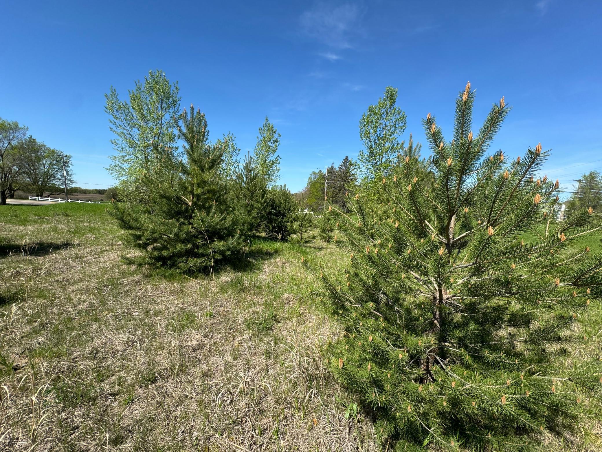 2421 Oak Preserve Court, Saint Cloud, Minnesota image 3
