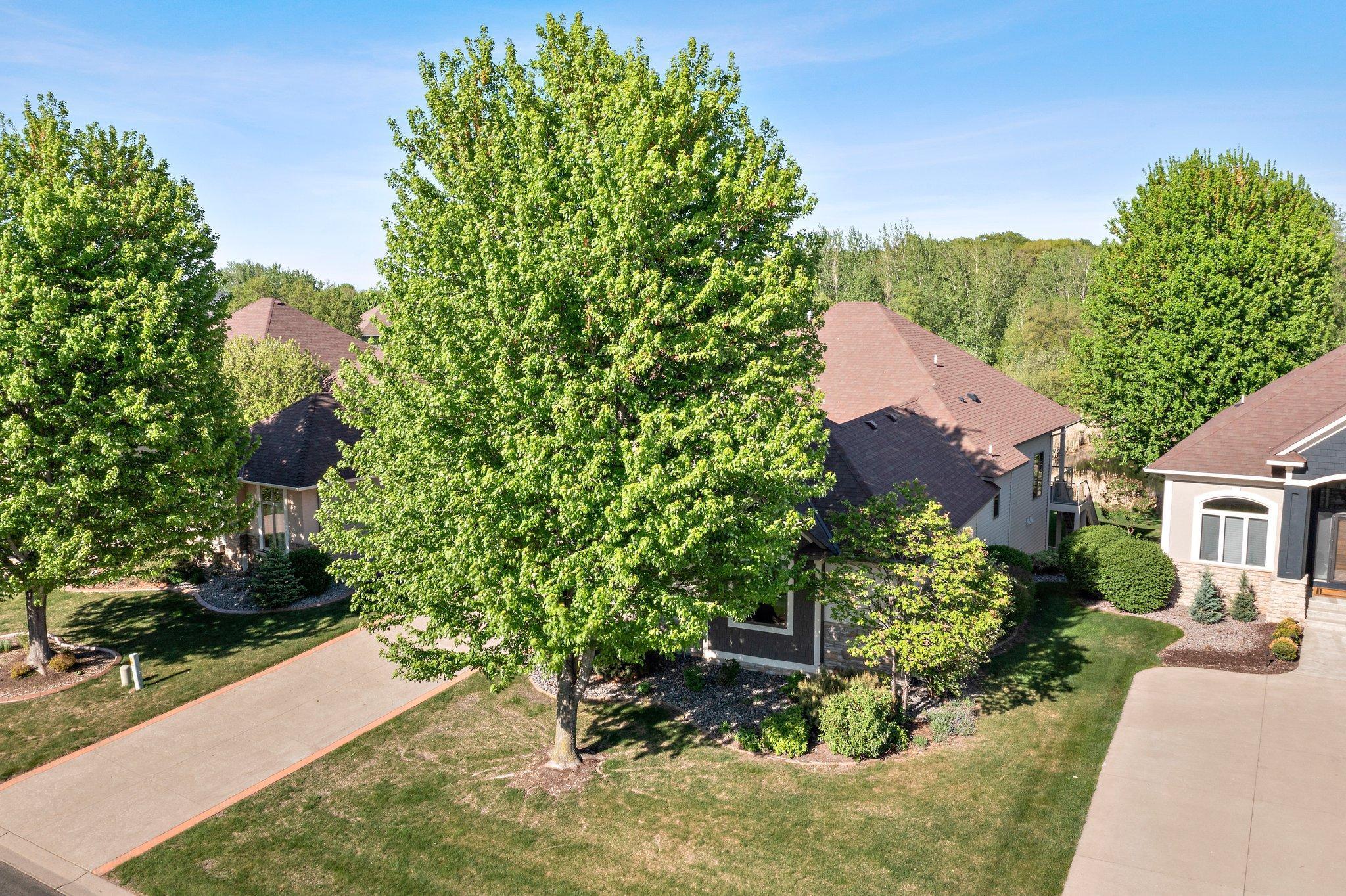 11879 Flanders Circle, Minneapolis, Minnesota image 12