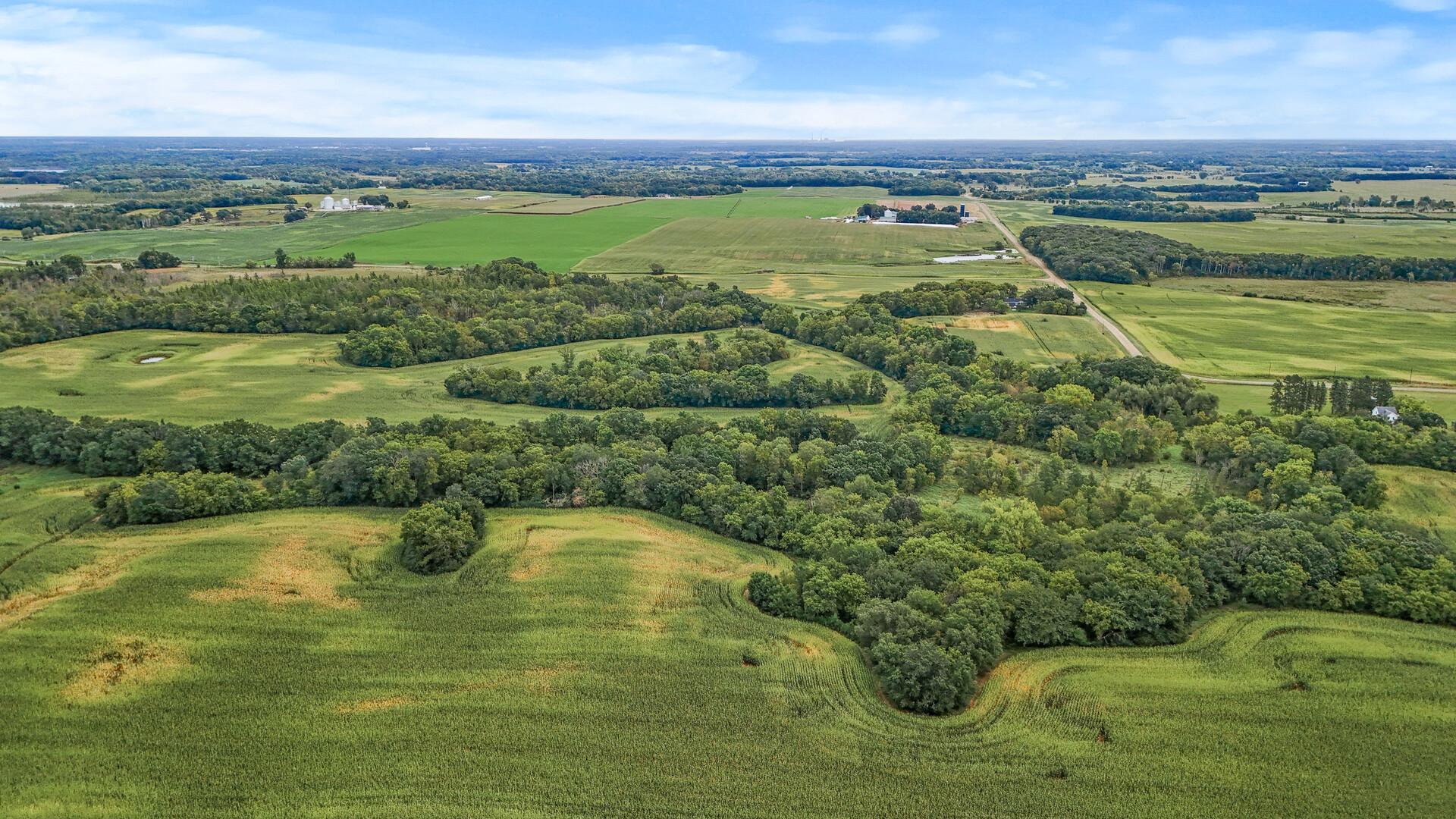 XXX 170th Street, Clearwater, Minnesota image 5