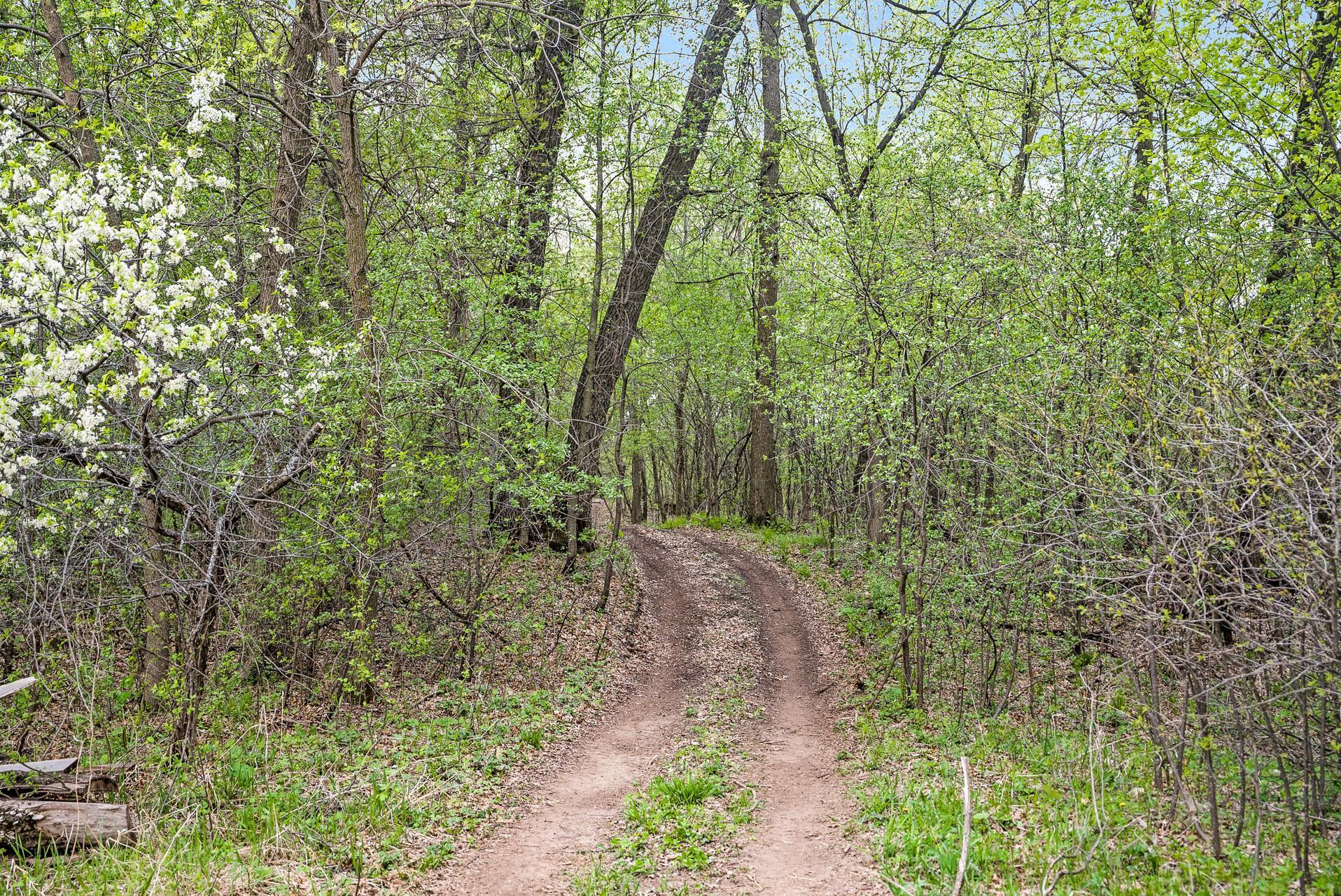 XXX 170th Street, Clearwater, Minnesota image 43