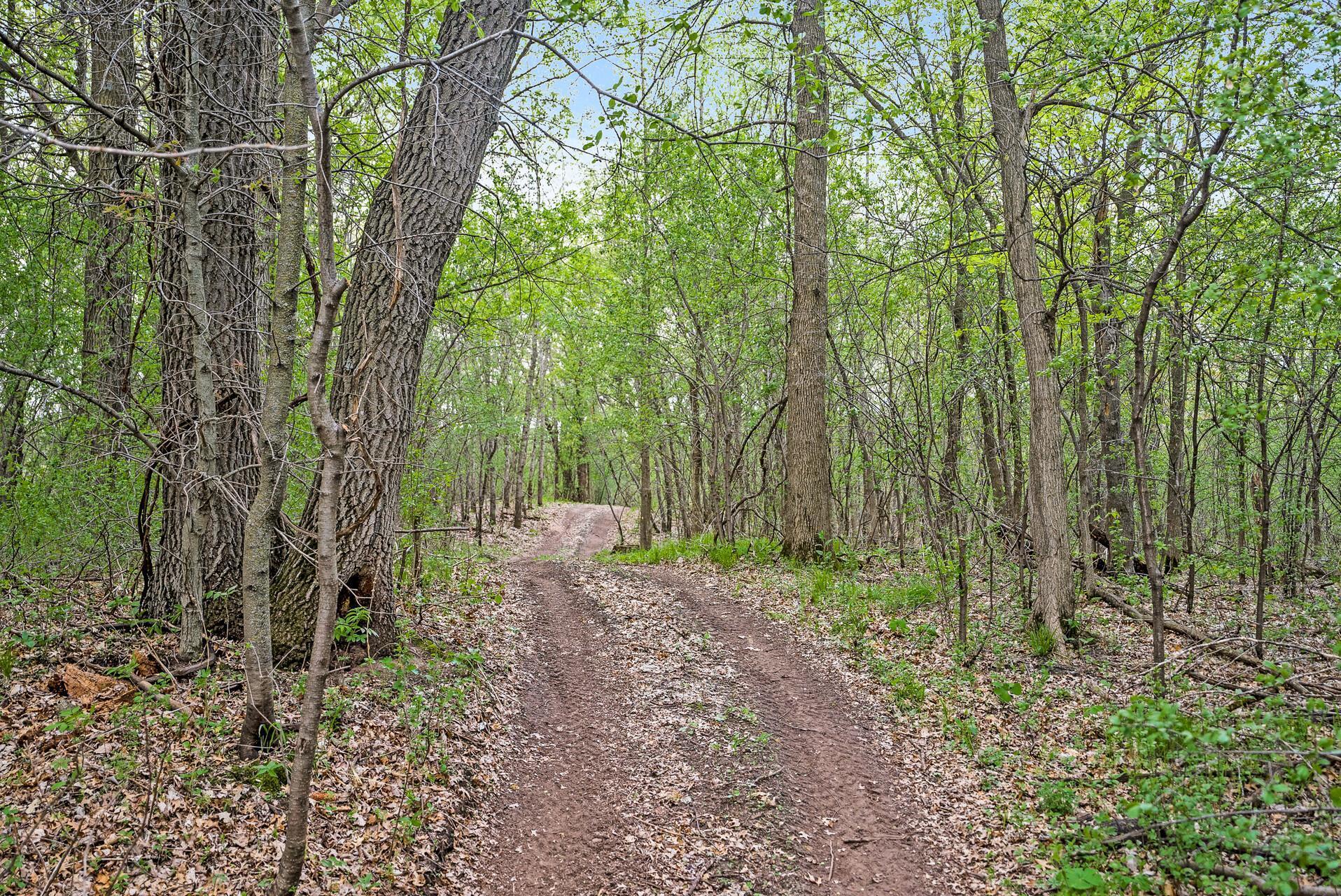 XXX 170th Street, Clearwater, Minnesota image 44