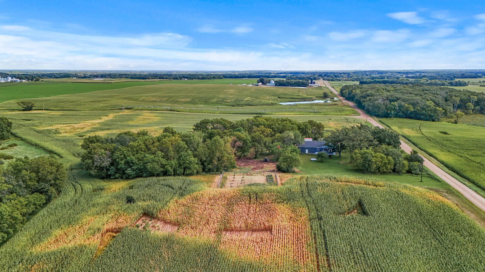 XXX 170th Street, Clearwater, Minnesota image 39