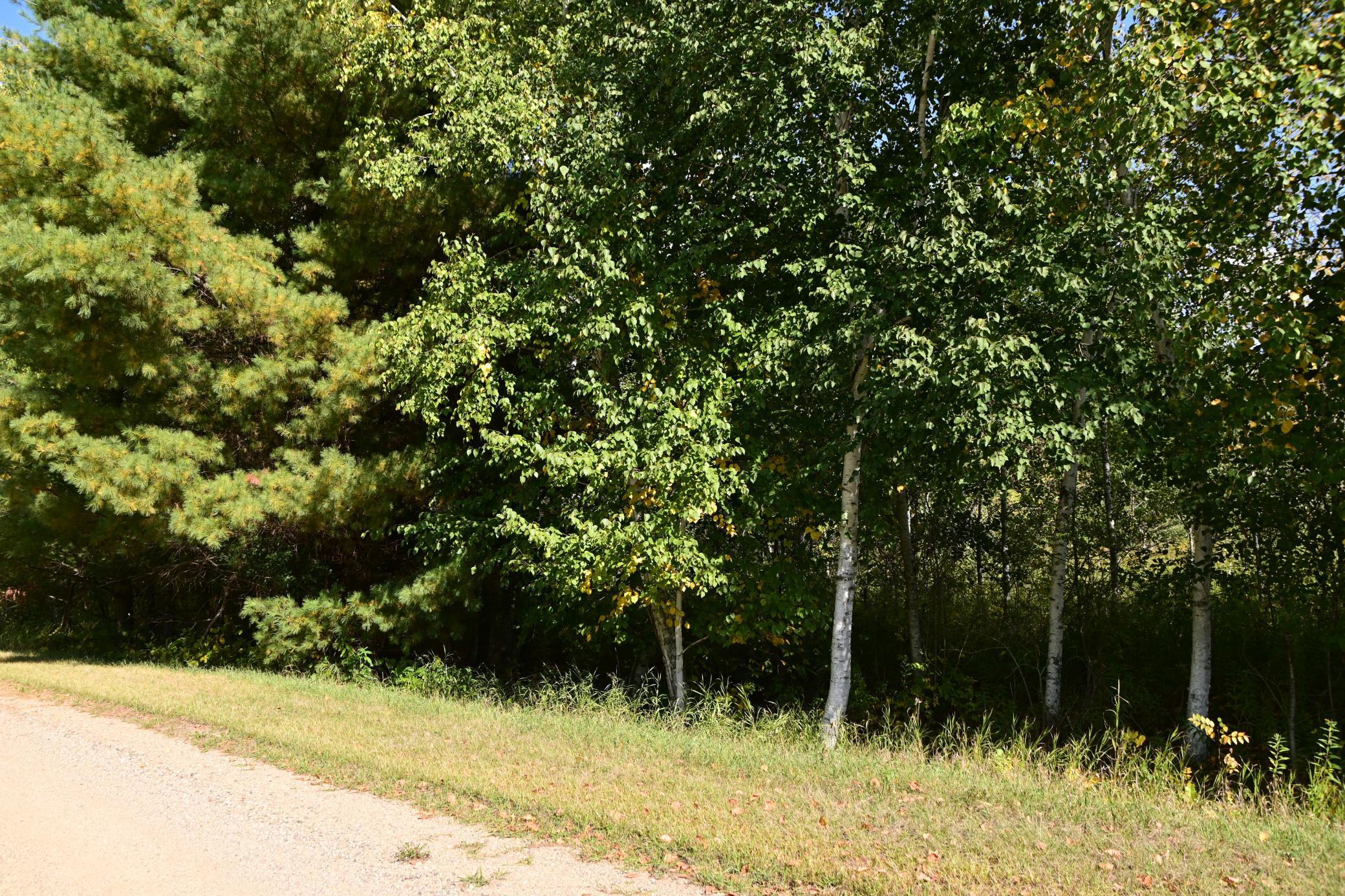 Lot 51 Block 12 Poplar Lane, Browerville, Minnesota image 2