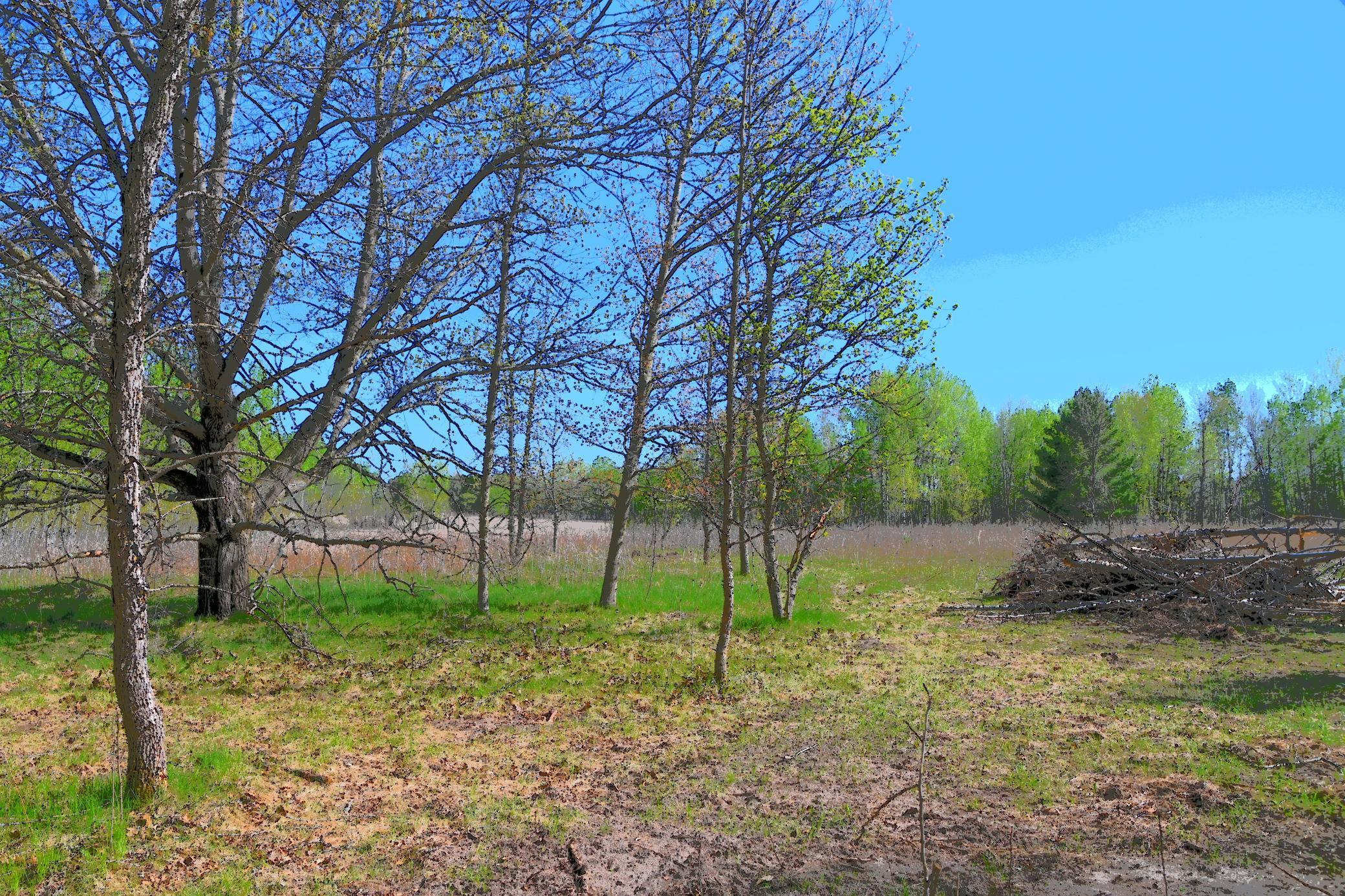 Lot 51 Block 12 Poplar Lane, Browerville, Minnesota image 5