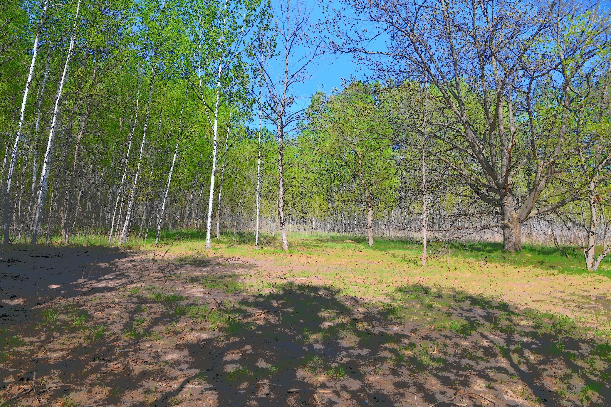 Lot 51 Block 12 Poplar Lane, Browerville, Minnesota image 4