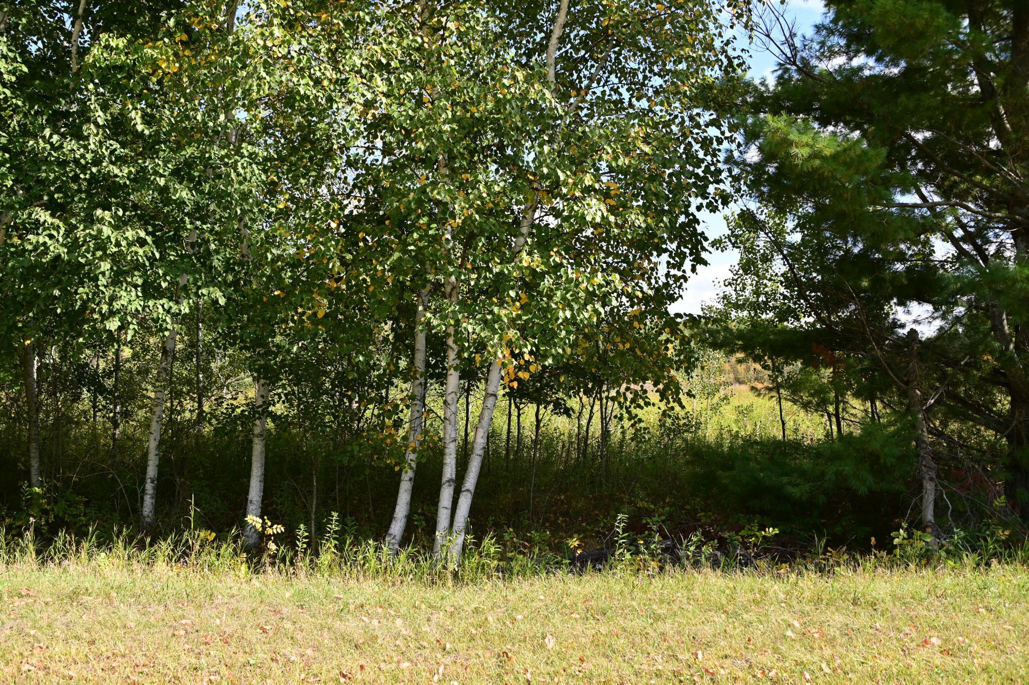 Lot 51 Block 12 Poplar Lane, Browerville, Minnesota image 3