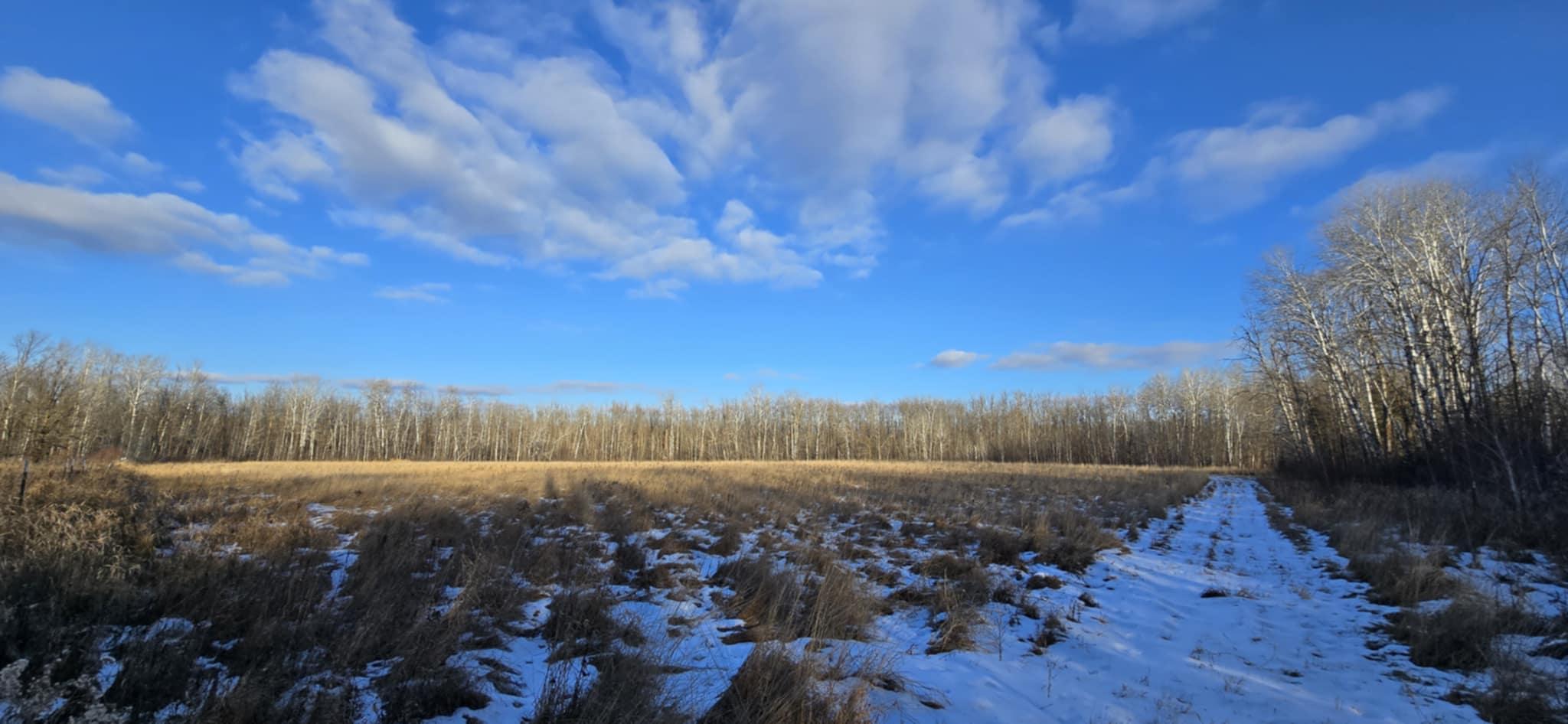 TBD Parcel C 359th Lane, Aitkin, Minnesota image 4