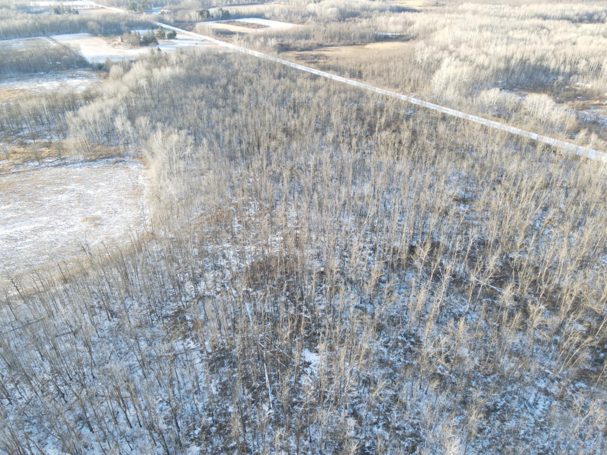 TBD Parcel C 359th Lane, Aitkin, Minnesota image 9