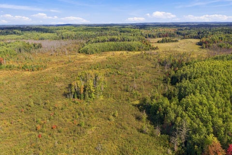 Vacant Land For Sale - 8991 Bennet Line Road<br/> Lake Nebagamon, WI 54849
