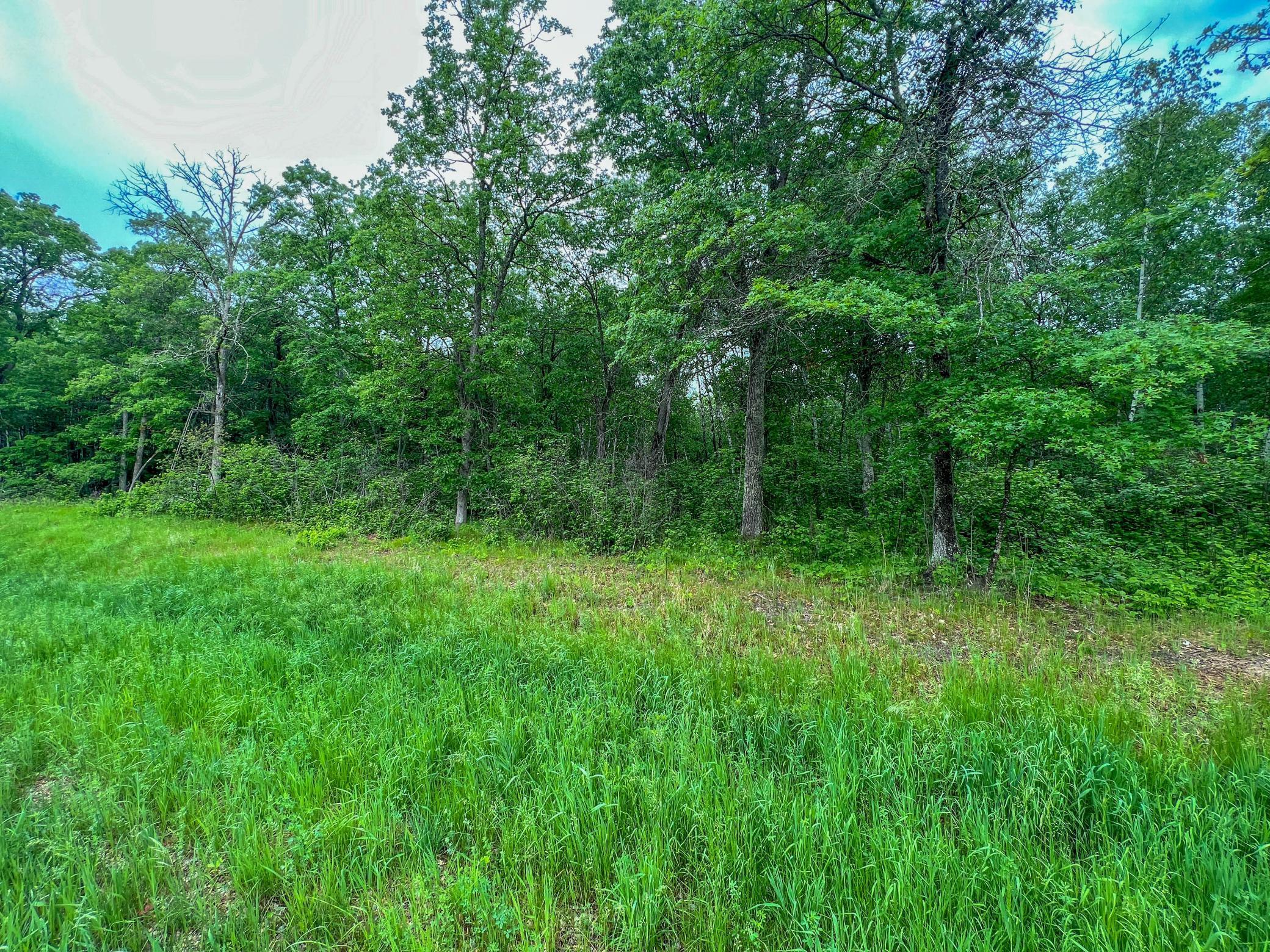 TBD Acorn Ridge Road, Bemidji, Minnesota image 5