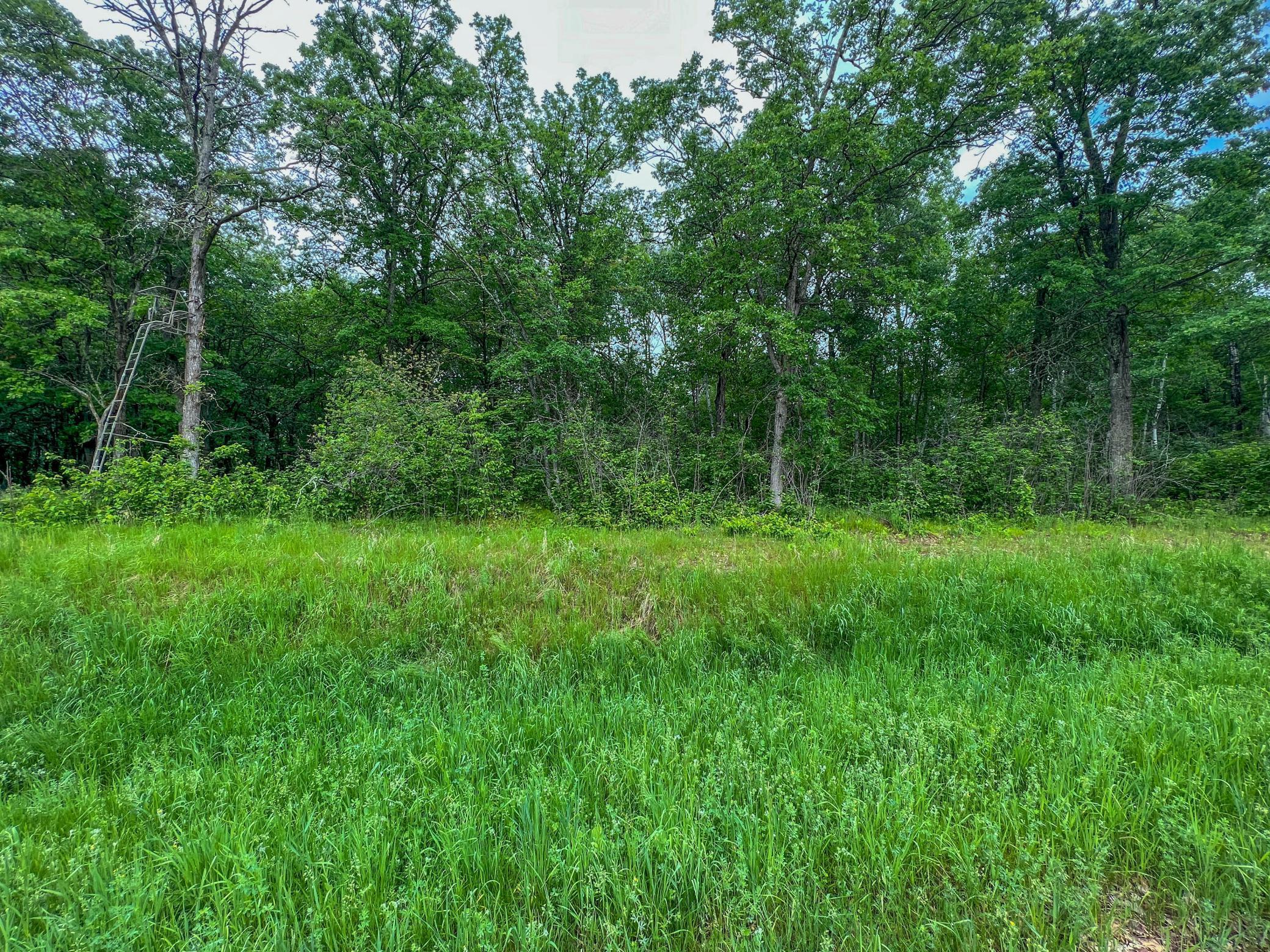 TBD Acorn Ridge Road, Bemidji, Minnesota image 3