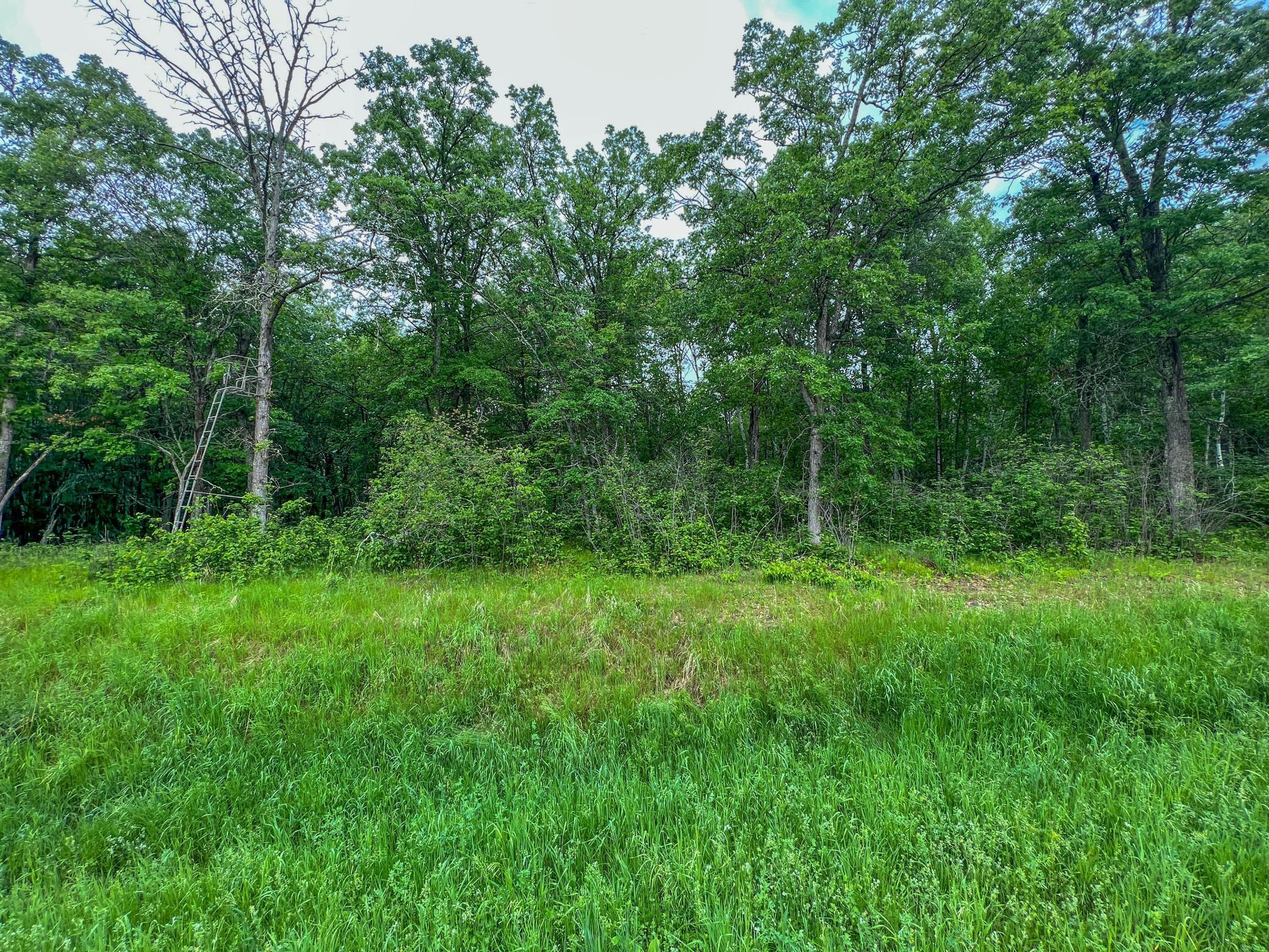 TBD Acorn Ridge Road, Bemidji, Minnesota image 4