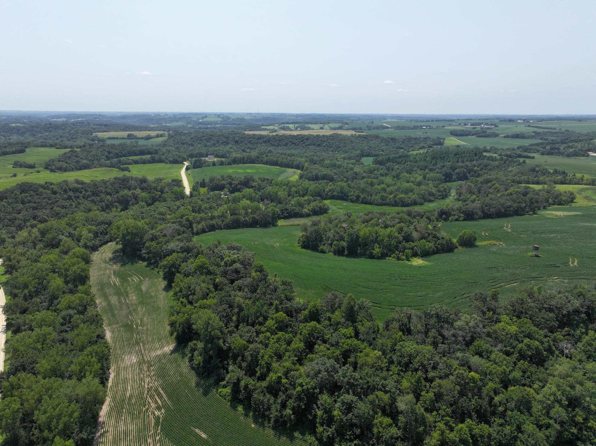 Xxxx County Road 3, Zumbro Falls, Minnesota image 19