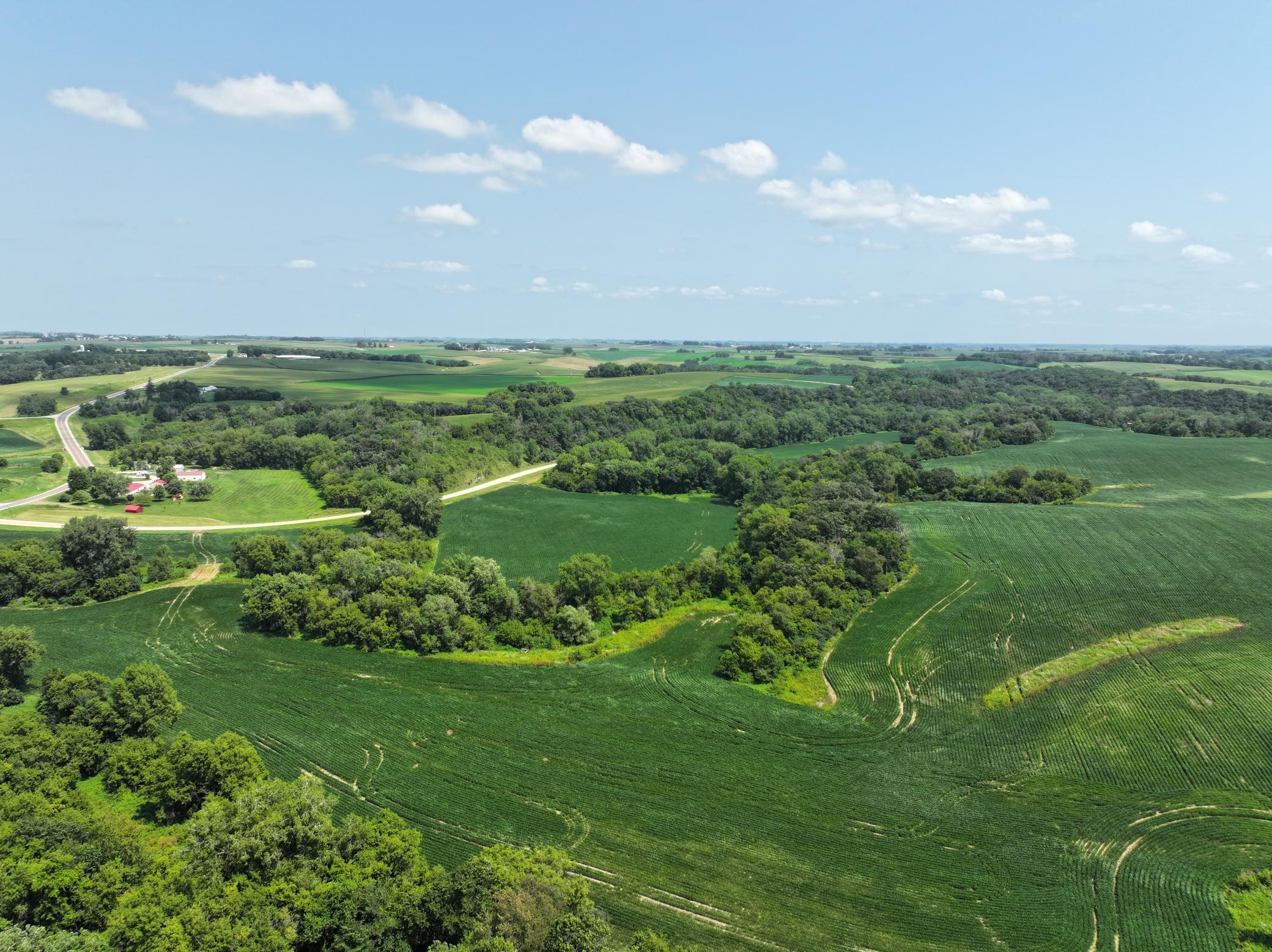 Xxxx County Road 3, Zumbro Falls, Minnesota image 16