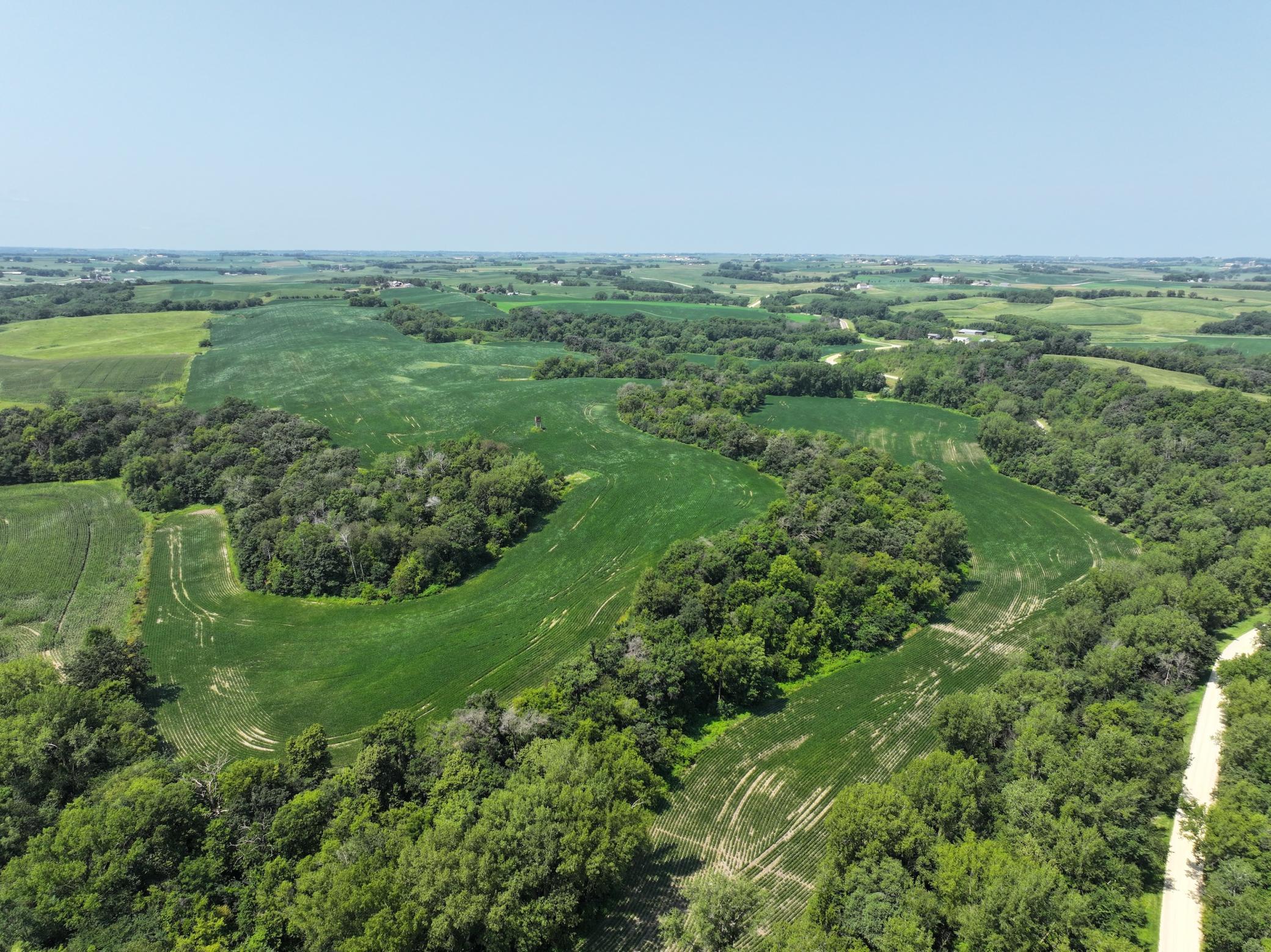 Xxxx County Road 3, Zumbro Falls, Minnesota image 1