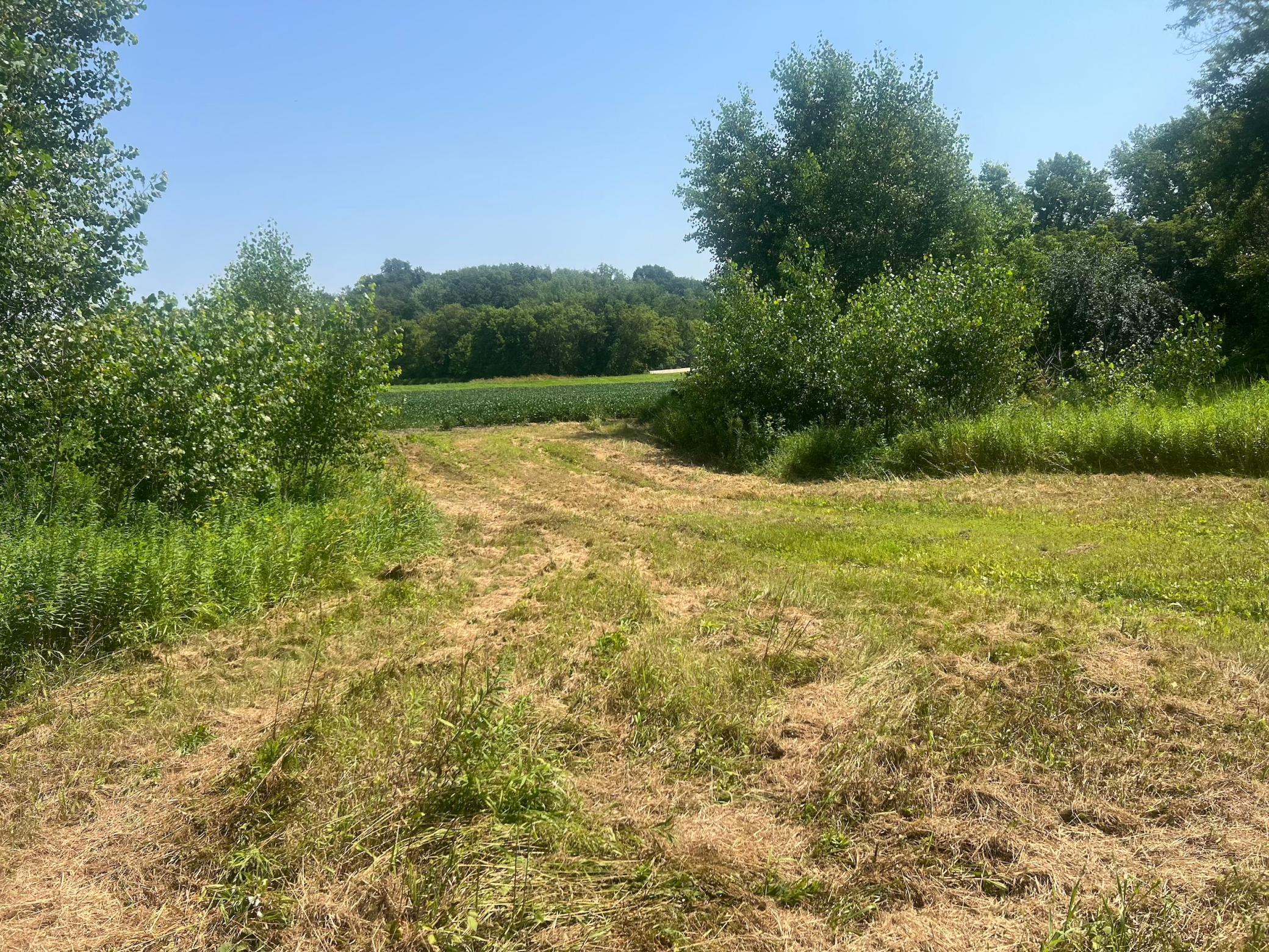 Xxxx County Road 3, Zumbro Falls, Minnesota image 33