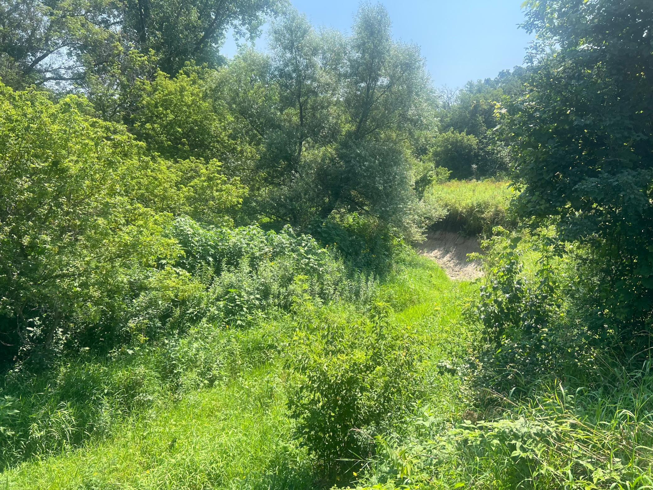 Xxxx County Road 3, Zumbro Falls, Minnesota image 31