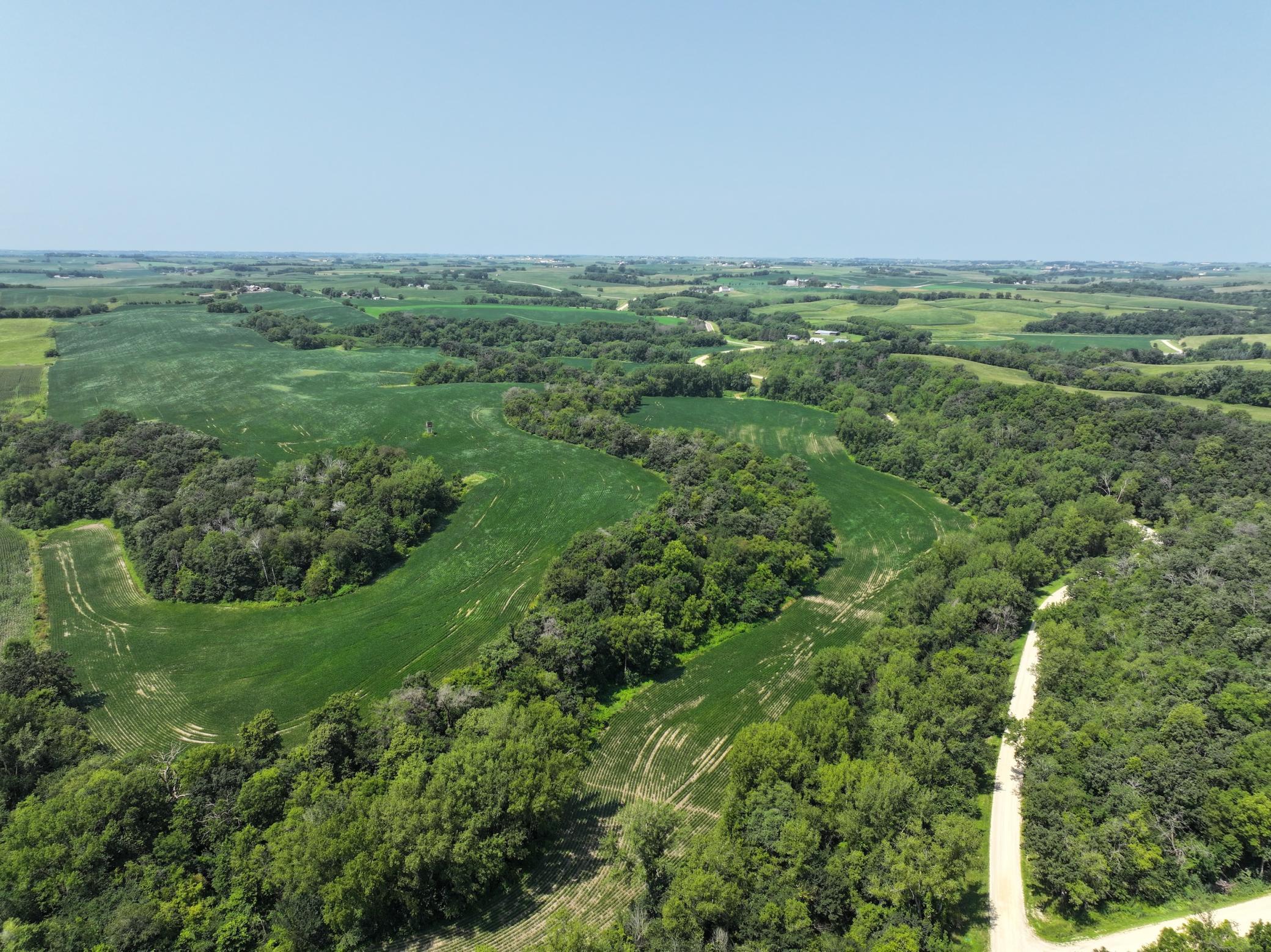 Xxxx County Road 3, Zumbro Falls, Minnesota image 17