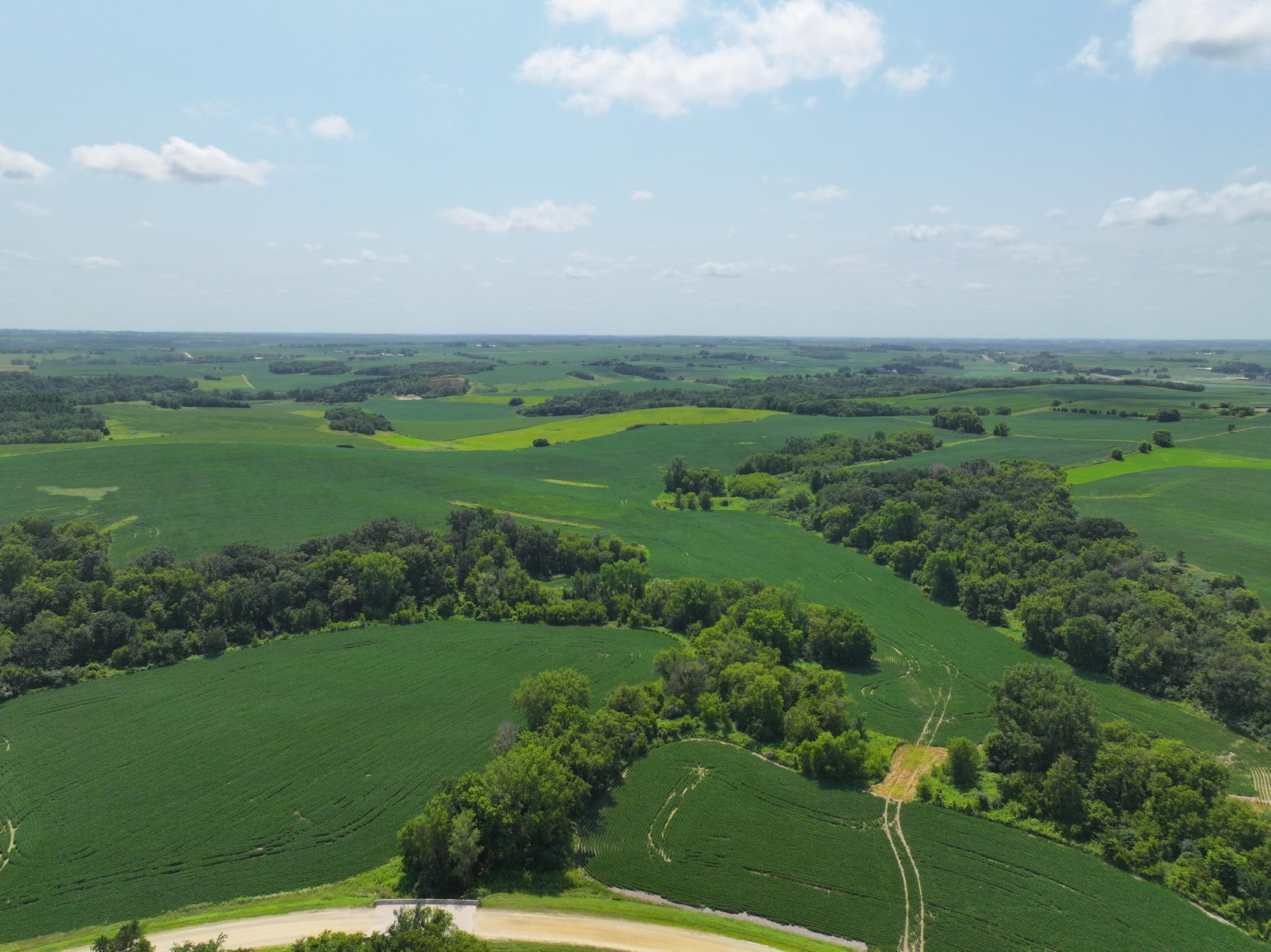 Xxxx County Road 3, Zumbro Falls, Minnesota image 14