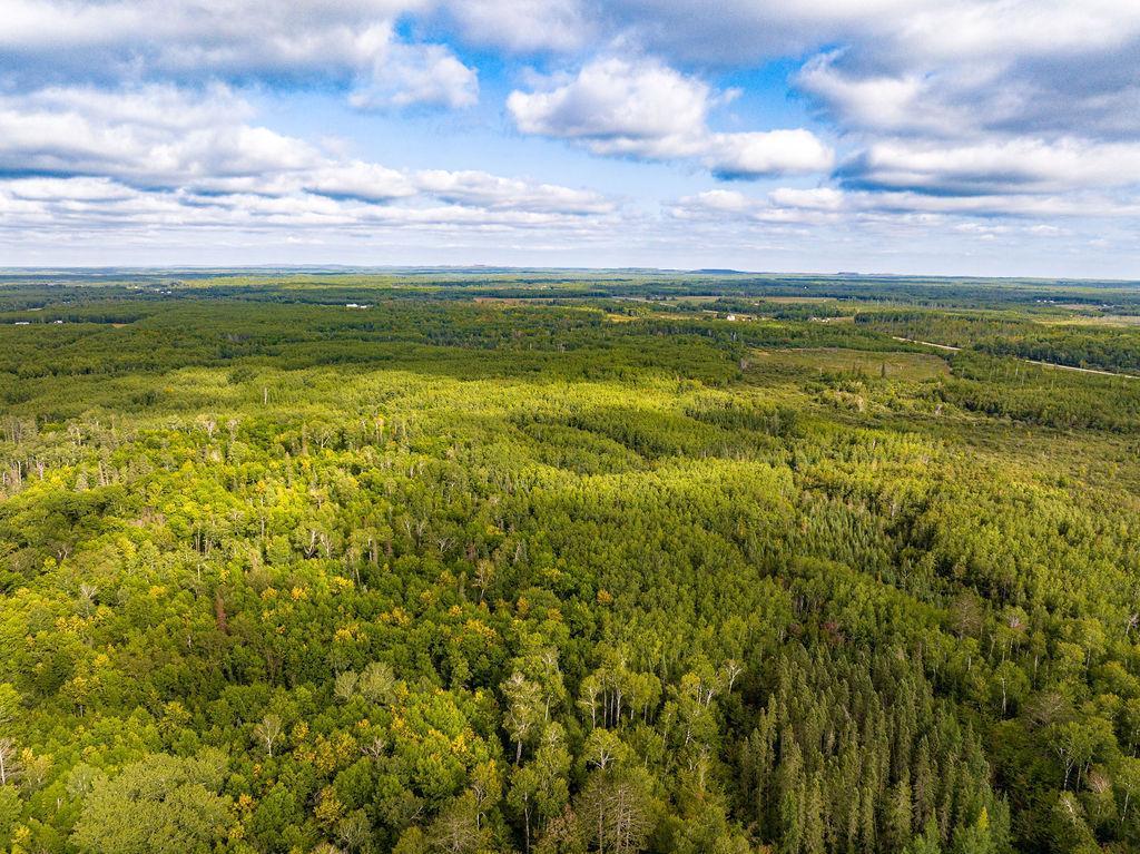 Xxx County Rd 56, Nashwauk, Minnesota image 10