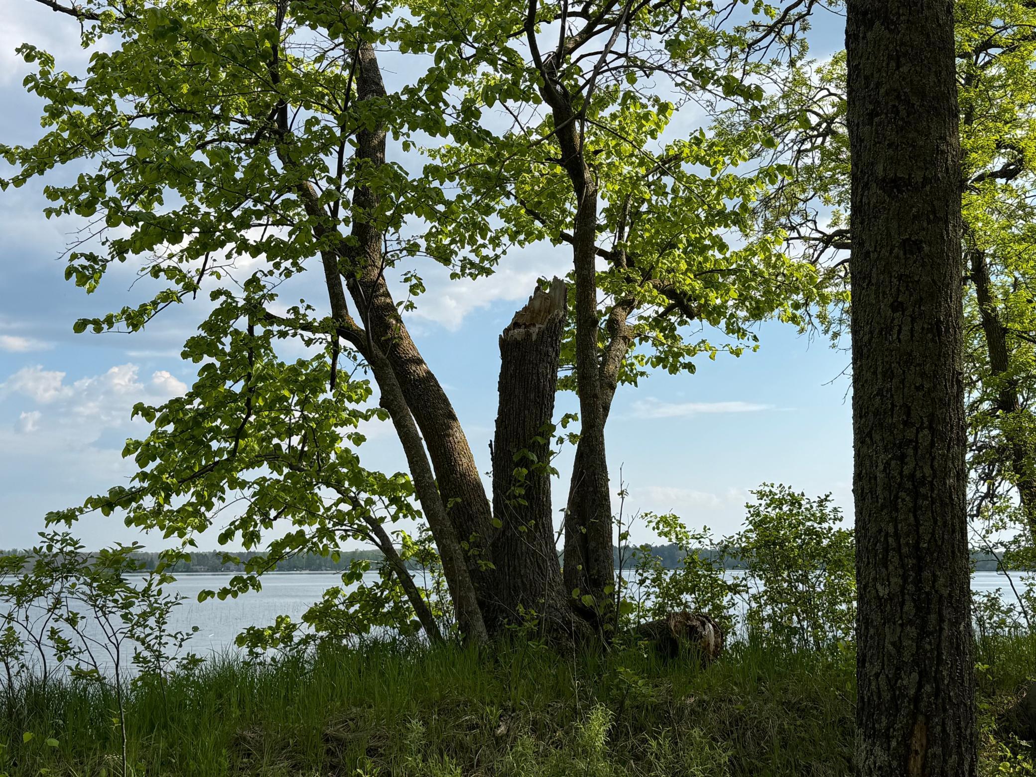 XXXXX 299th Place, Aitkin, Minnesota image 6