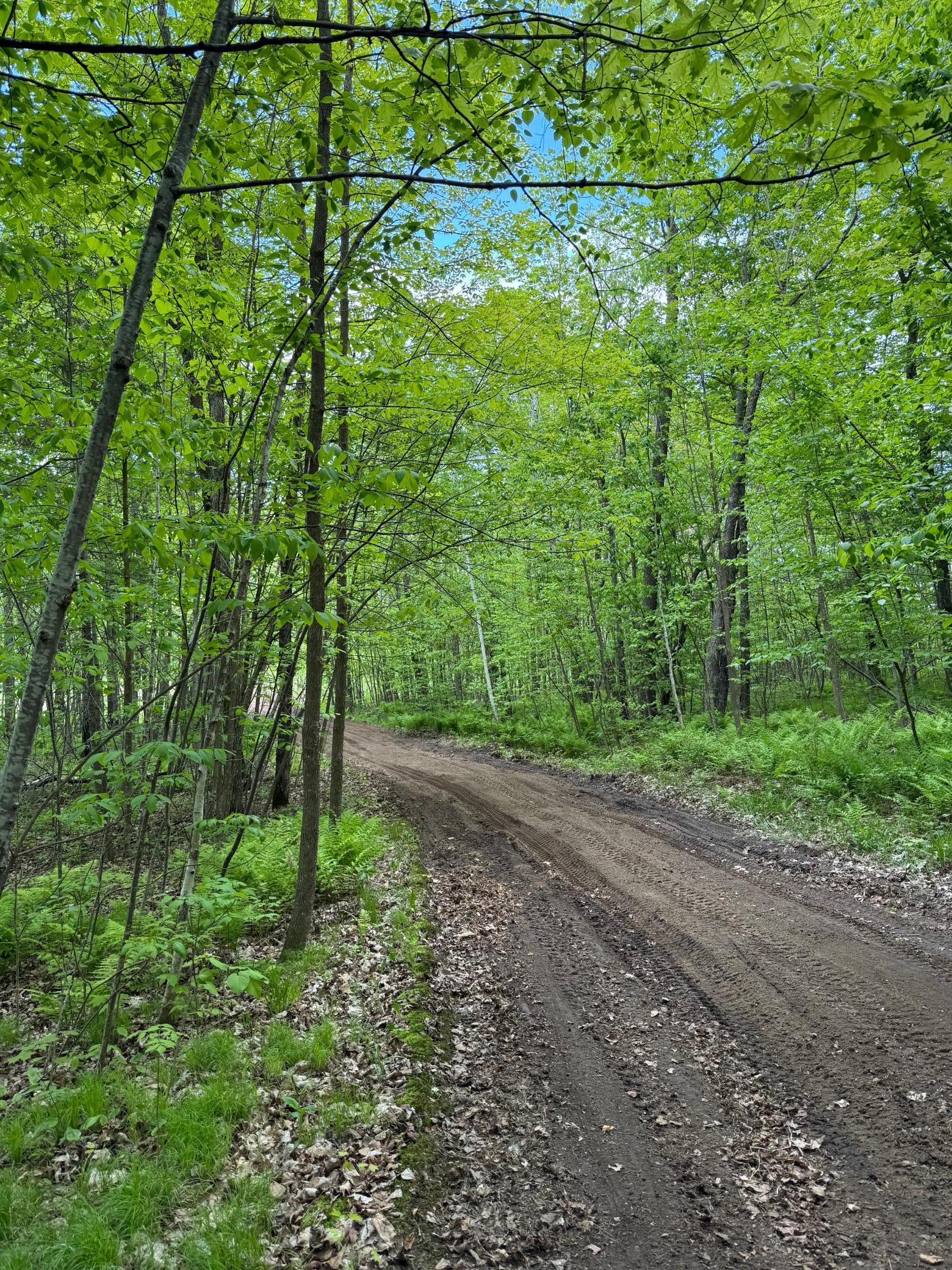 XXXXX 299th Place, Aitkin, Minnesota image 13