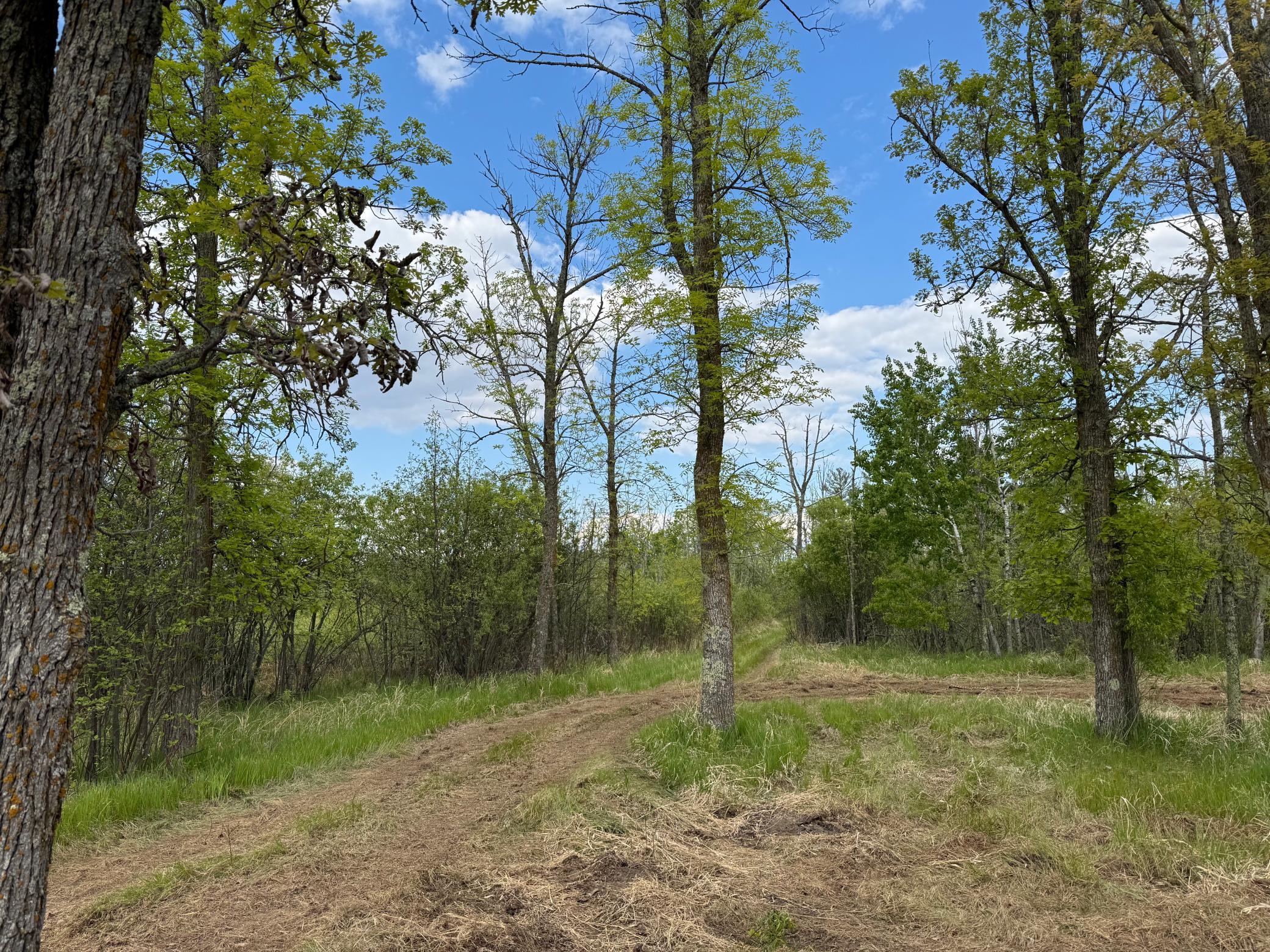 XXXXX 299th Place, Aitkin, Minnesota image 9
