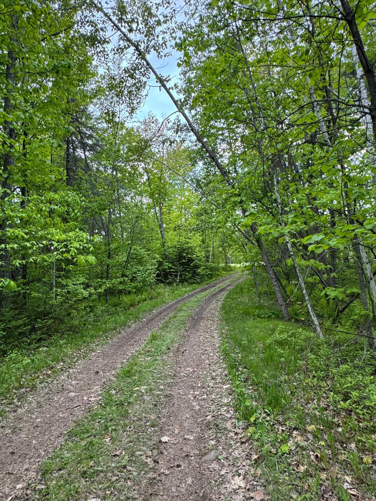 XXXXX 299th Place, Aitkin, Minnesota image 24