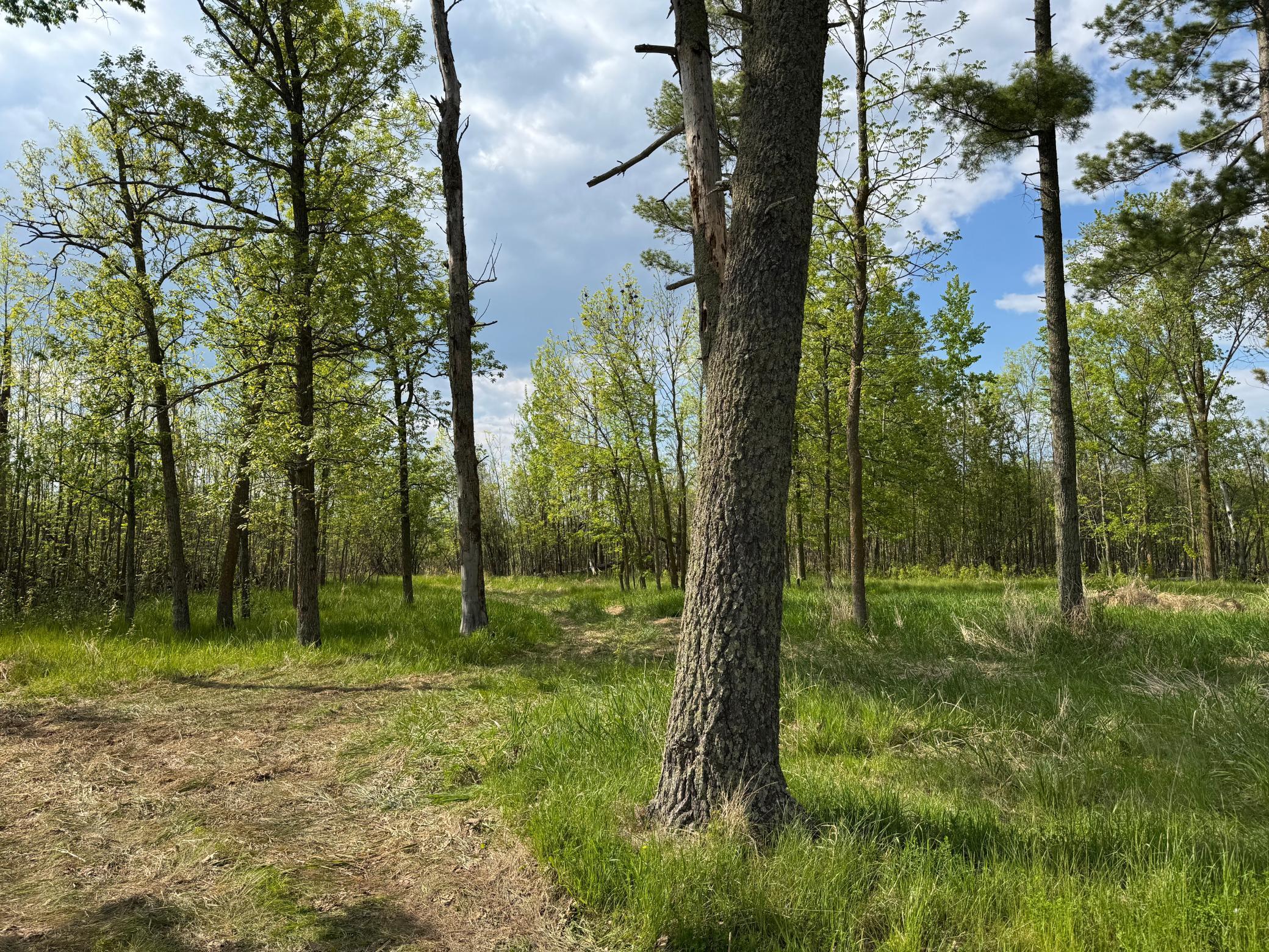 XXXXX 299th Place, Aitkin, Minnesota image 10