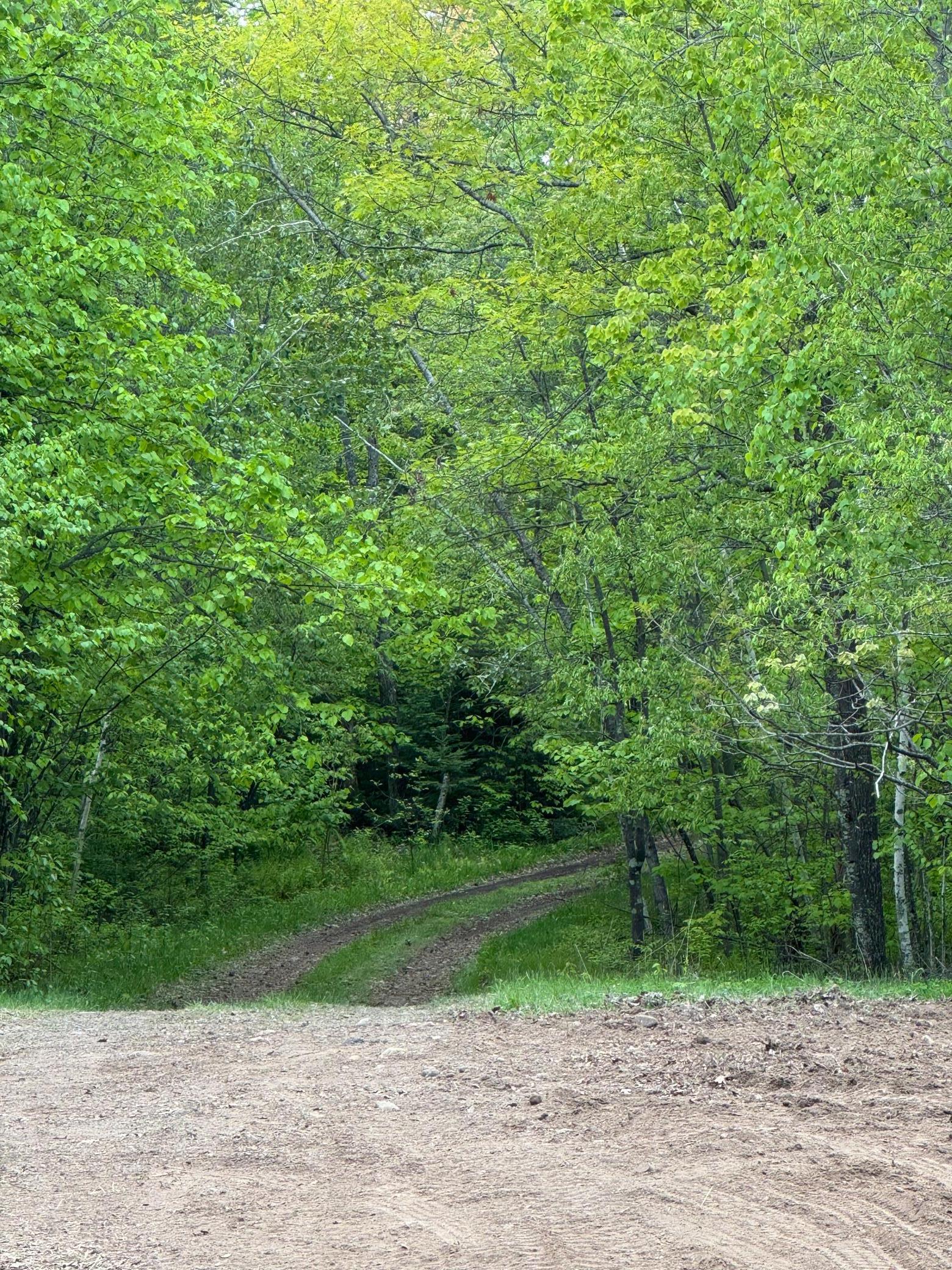 XXXXX 299th Place, Aitkin, Minnesota image 23
