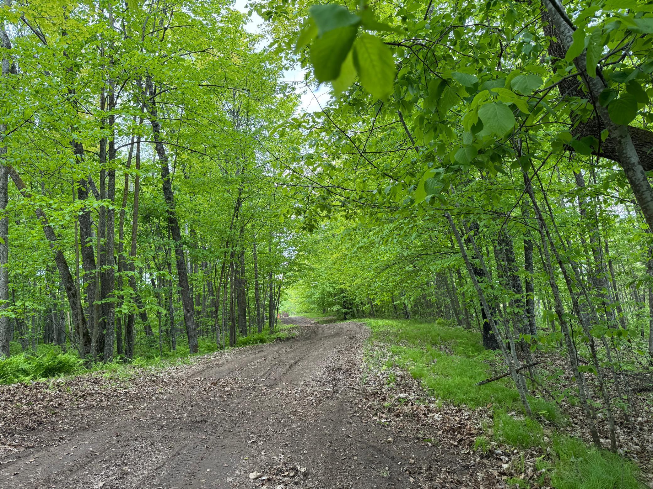 XXXXX 299th Place, Aitkin, Minnesota image 12