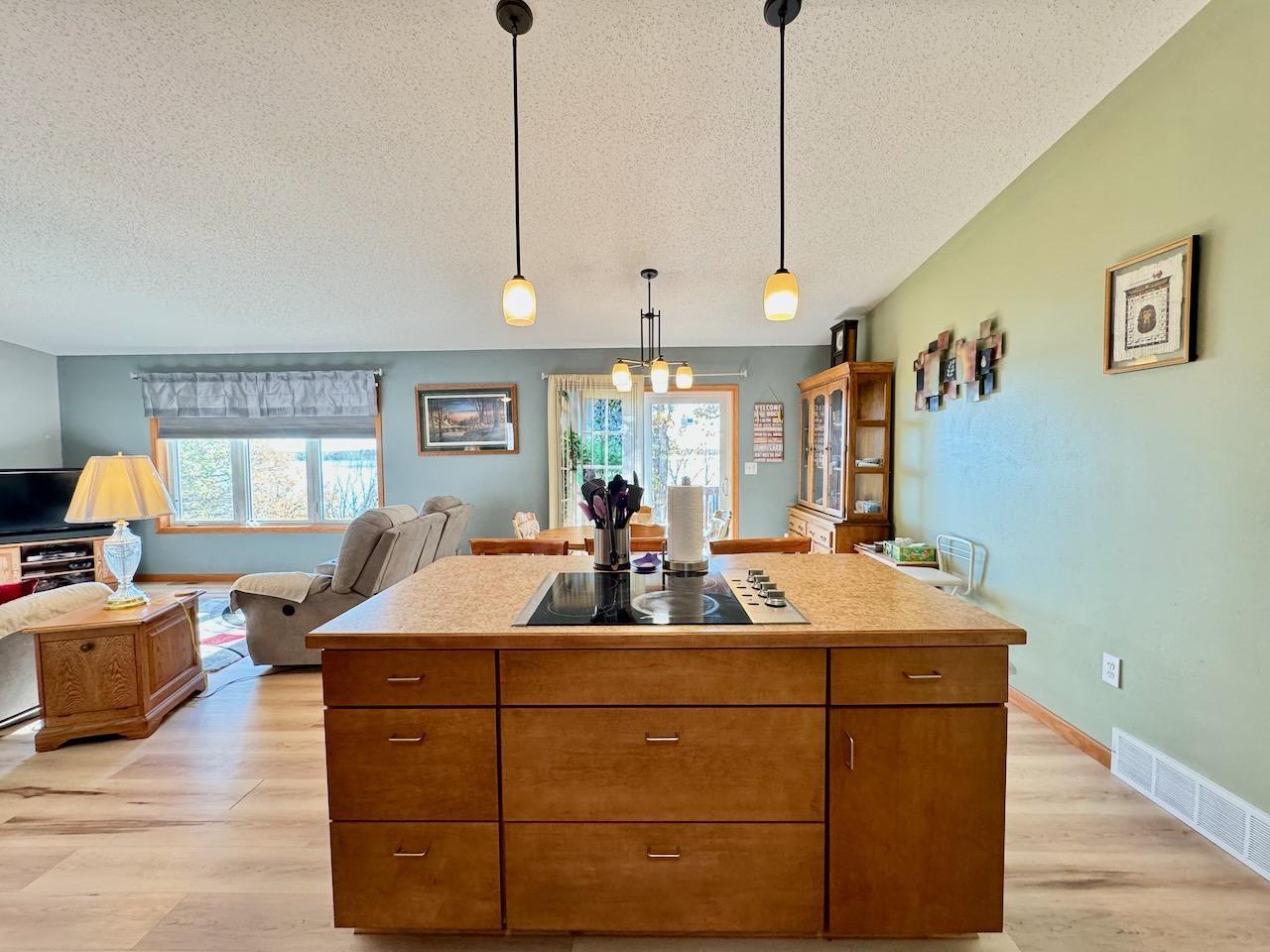 42462 Sunset Hill Road, Battle Lake, Minnesota image 20