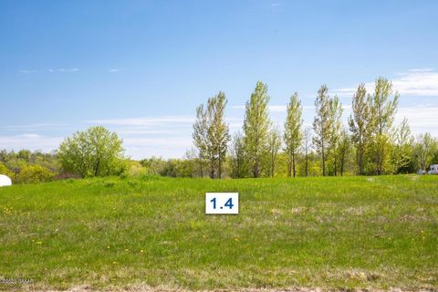 Vacant Land For Sale - 408 LOT1.4 5th Street<br/> Douglas County, Brandon, MN 56315