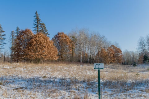 Vacant Land For Sale - 28795 133rd Street<br/> Sherburne County, Zimmerman, MN 55398