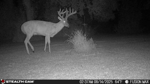 Vacant Land For Sale - TBD 630th Street<br/> Dodge County, Claremont, MN 55924